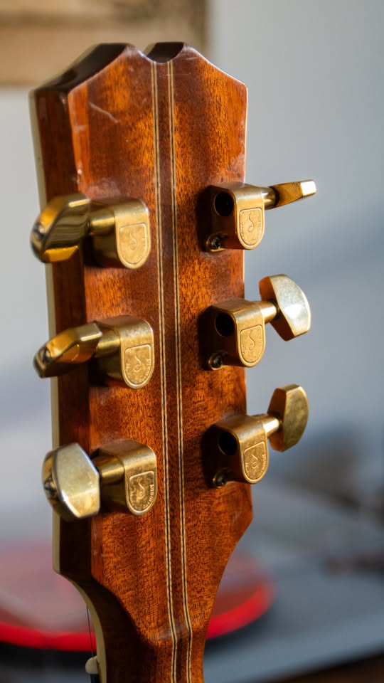 Vintage German Archtops-german-mtl-5-jpg