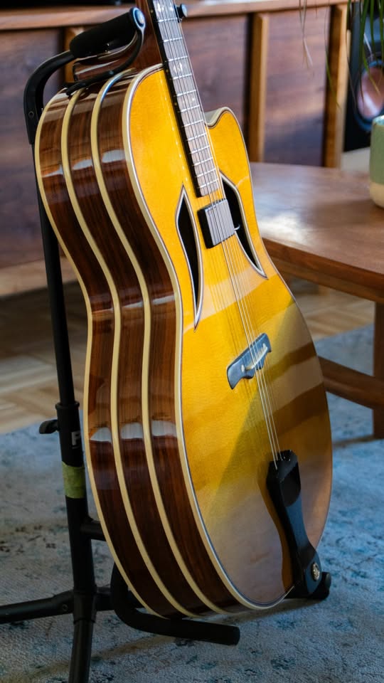 Vintage German Archtops-german-mtl-4-jpg
