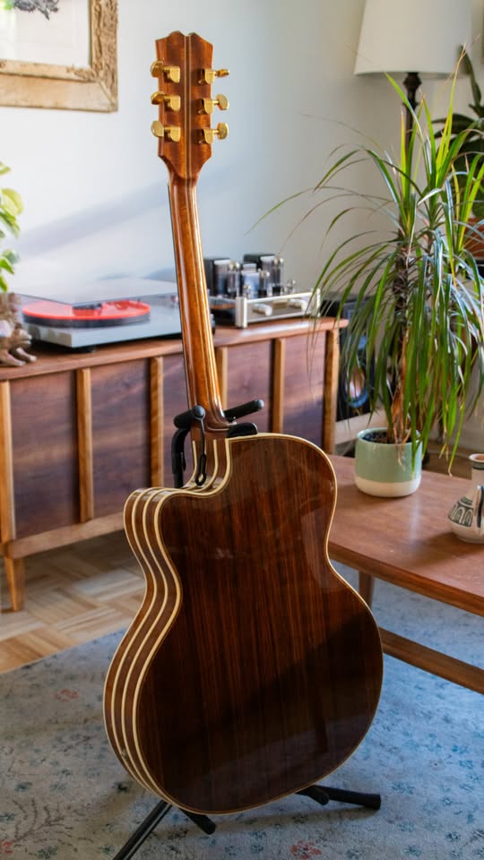 Vintage German Archtops-german-mtl-3-jpg