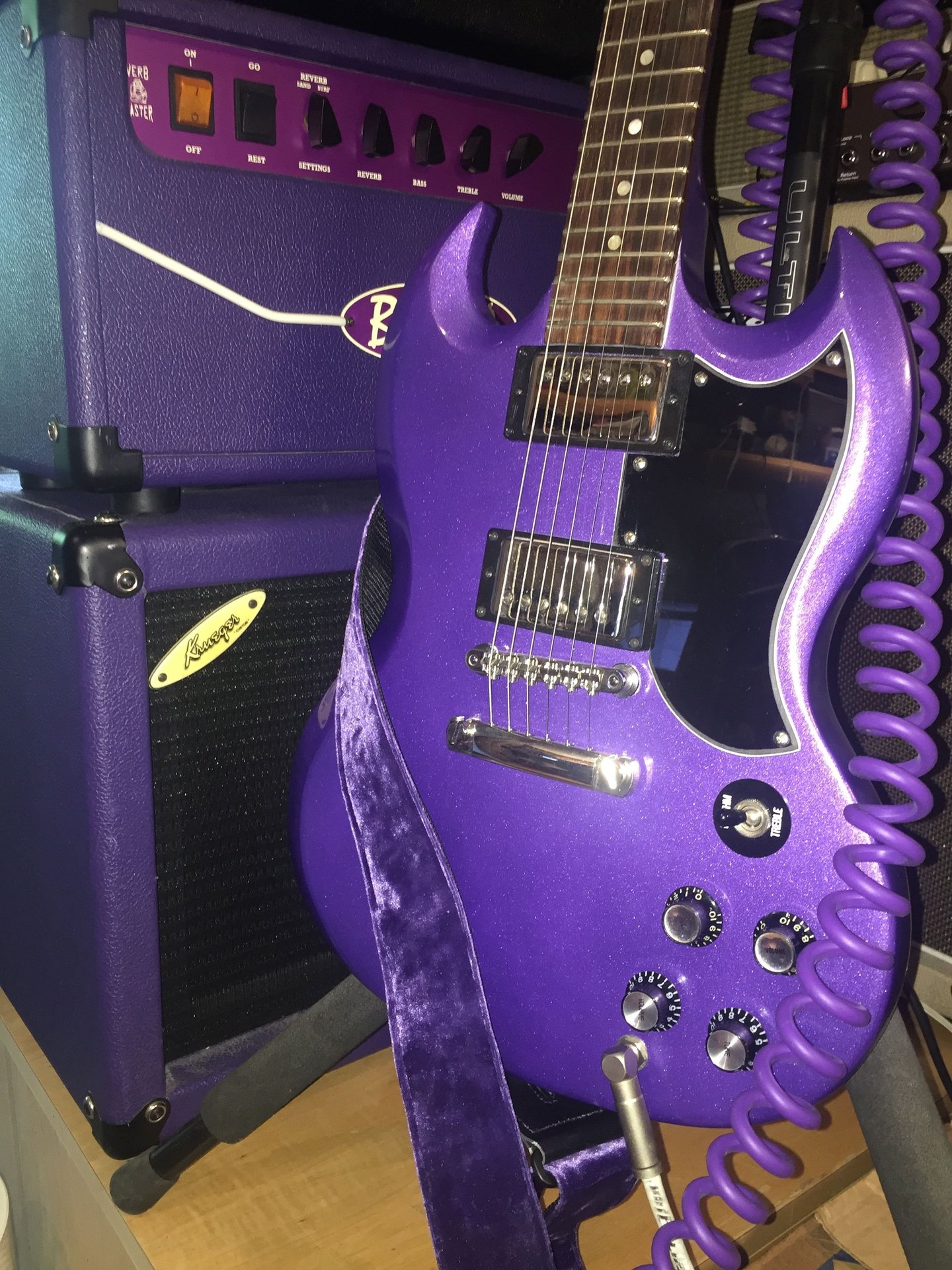 Why no love for the Gibson SG?-gib-sg-purple-rig-w-strap-jpg