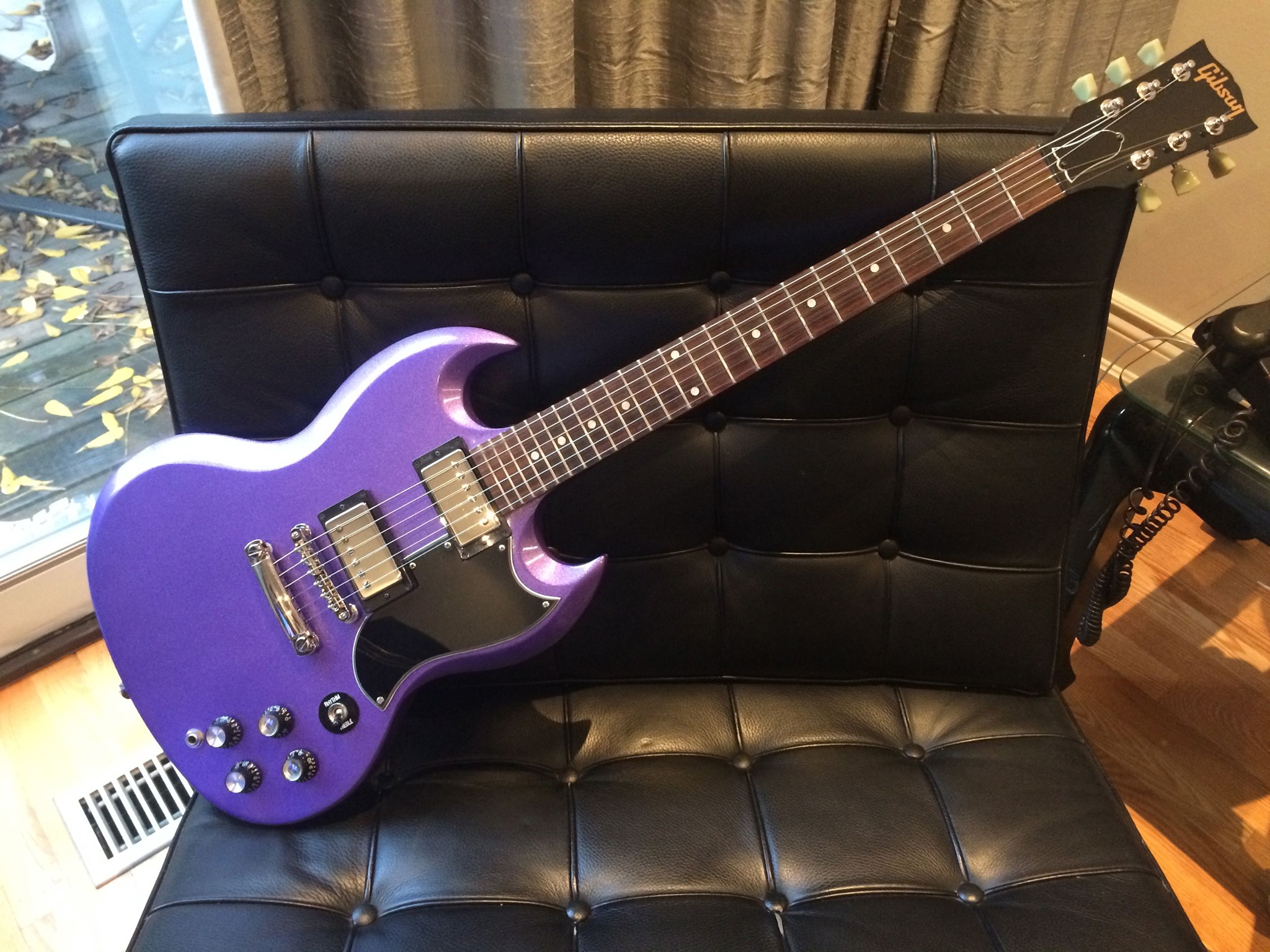 Why no love for the Gibson SG?-gib-sg-purple-jpg