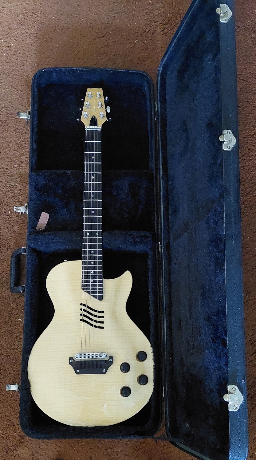Do you use the same strings on all your guitars?-lansdcape-w-tkl-case-jpg