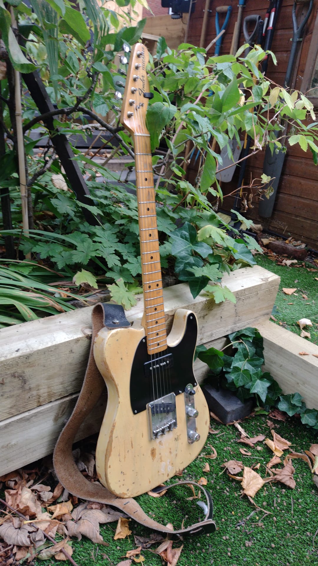 Telecaster Love Thread, No Archtops Allowed-tele1-jpg