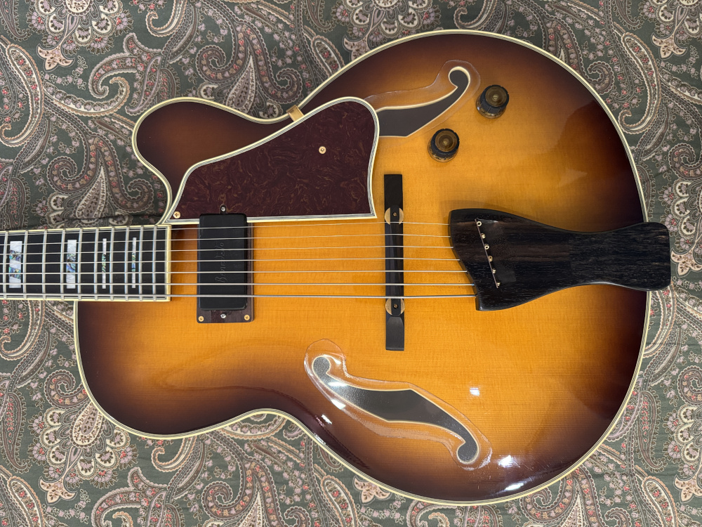 My Ibanez AF207's tailpiece just broke.-top-jpg