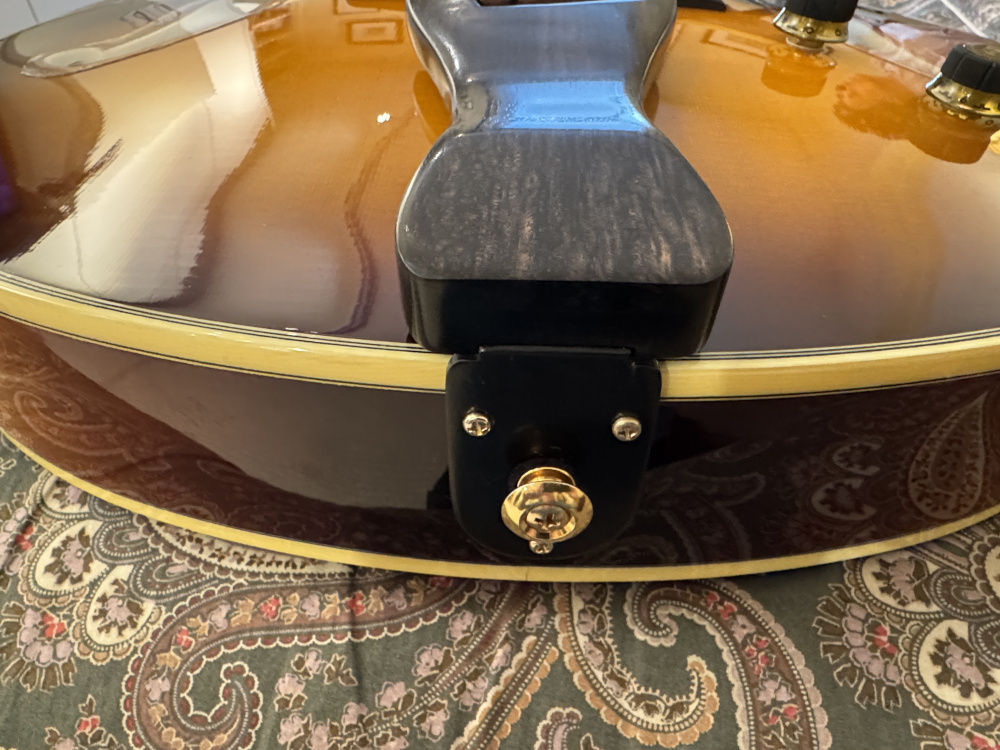 My Ibanez AF207's tailpiece just broke.-endpin-tp-jpg