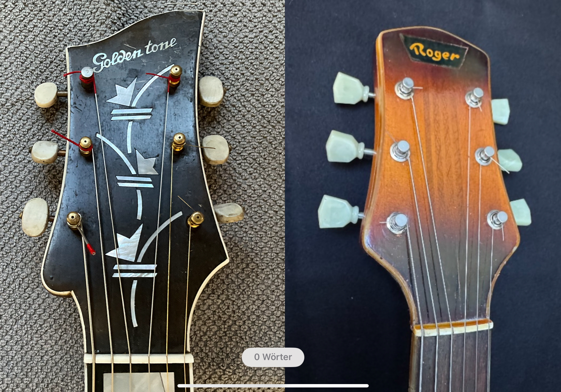 Vintage German Archtops-img_4259-jpeg