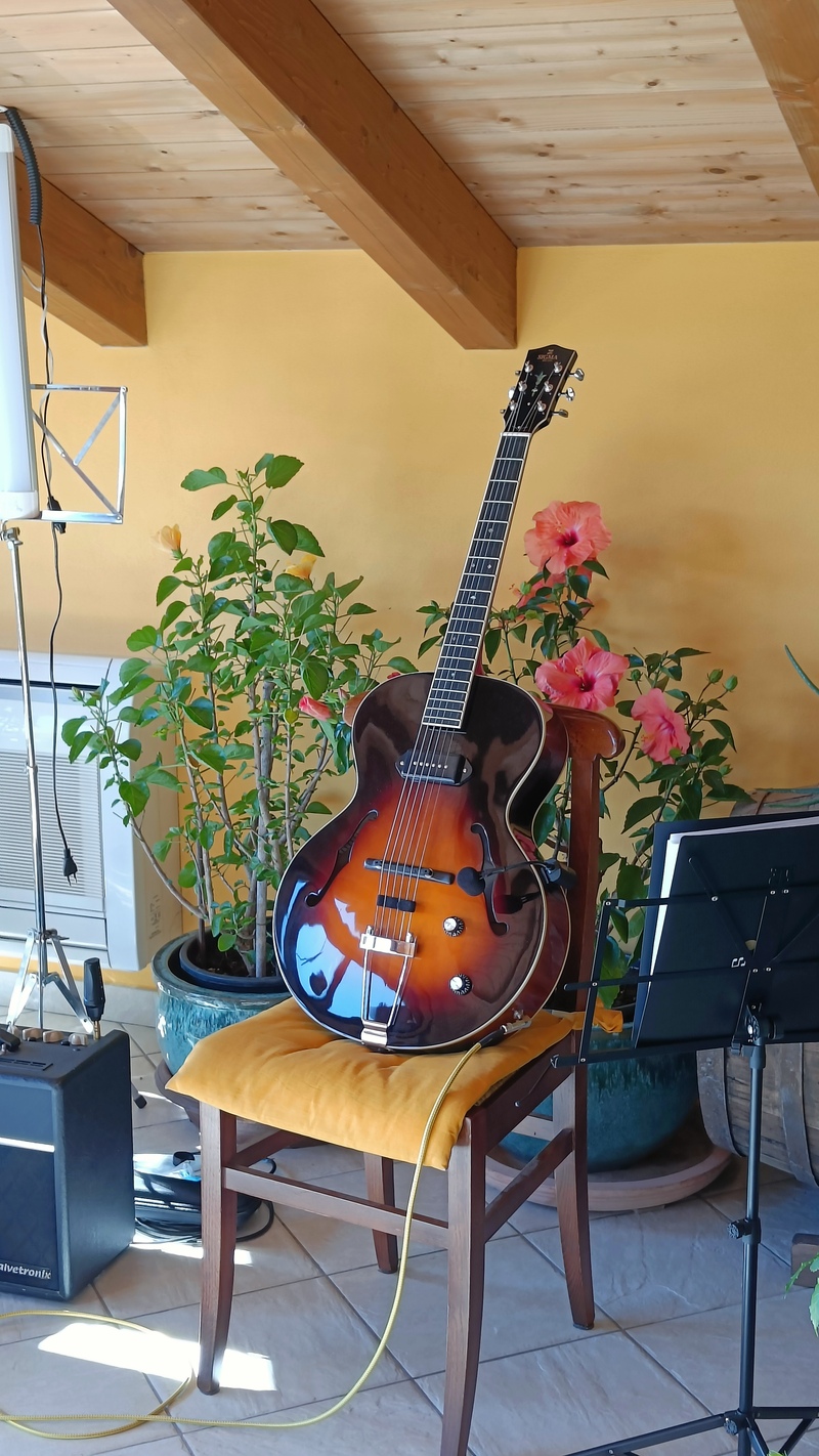 Sigma Guitars - Cheap Archtop-sata-200e-jpg