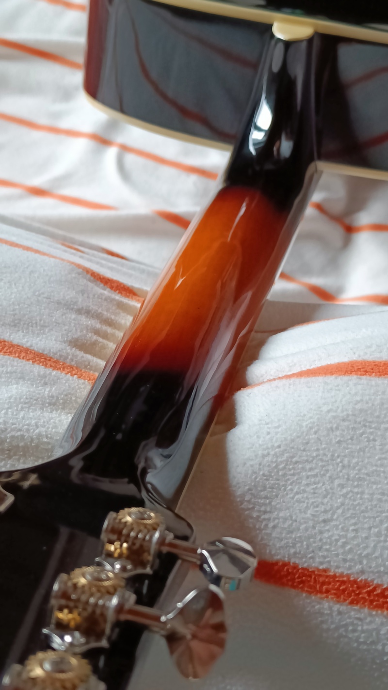 Sigma Guitars - Cheap Archtop-sata-200e-neck-jpg