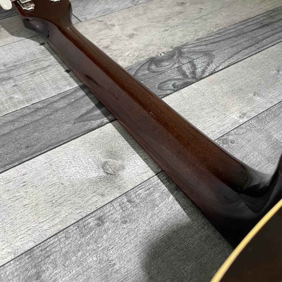 1958 GIBSON ES-125 - Picked up yesterday-myes125-nk-rear-jpg