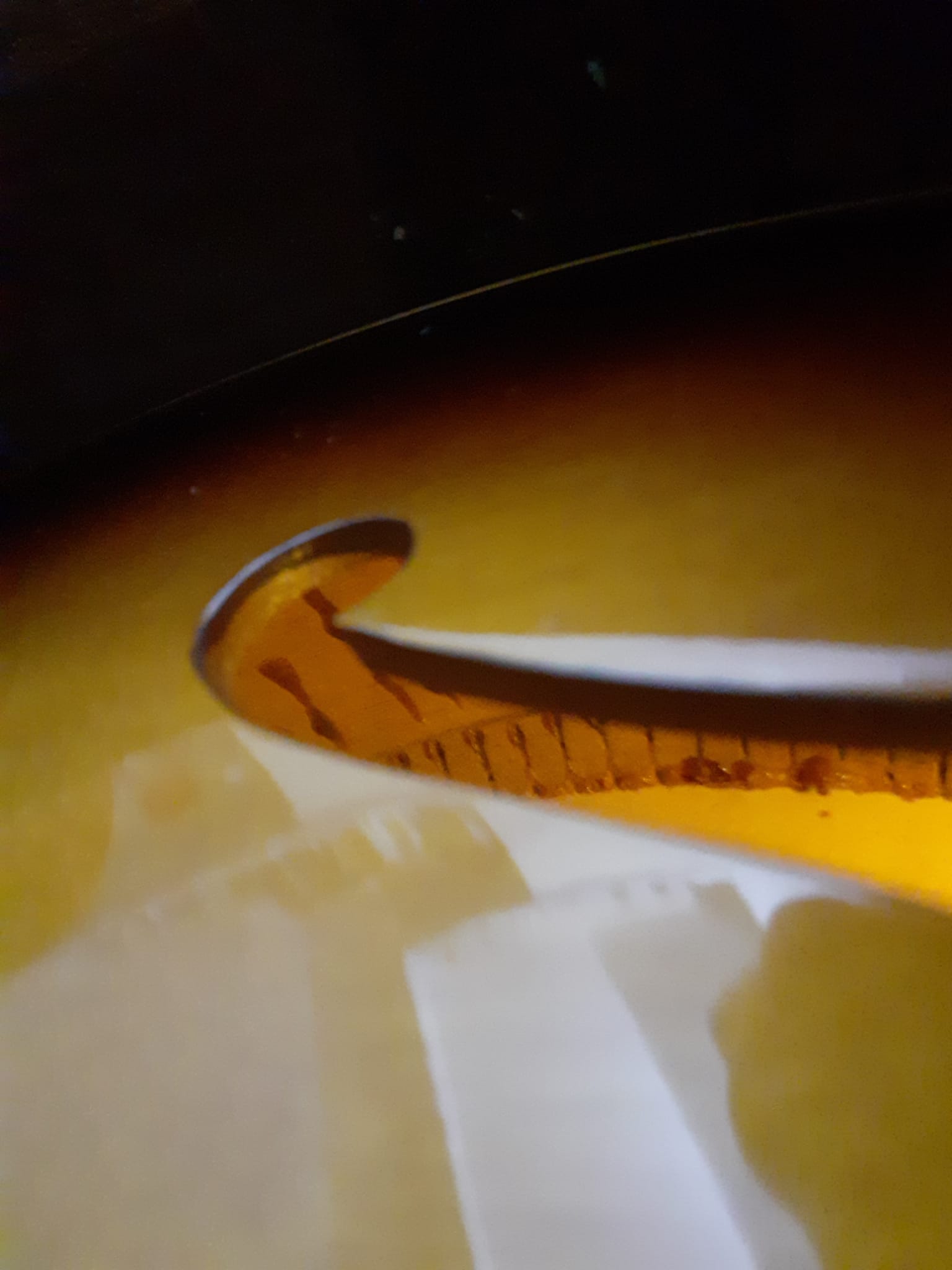1958 GIBSON ES-125 - Picked up yesterday-img-20251105-wa0002-jpg
