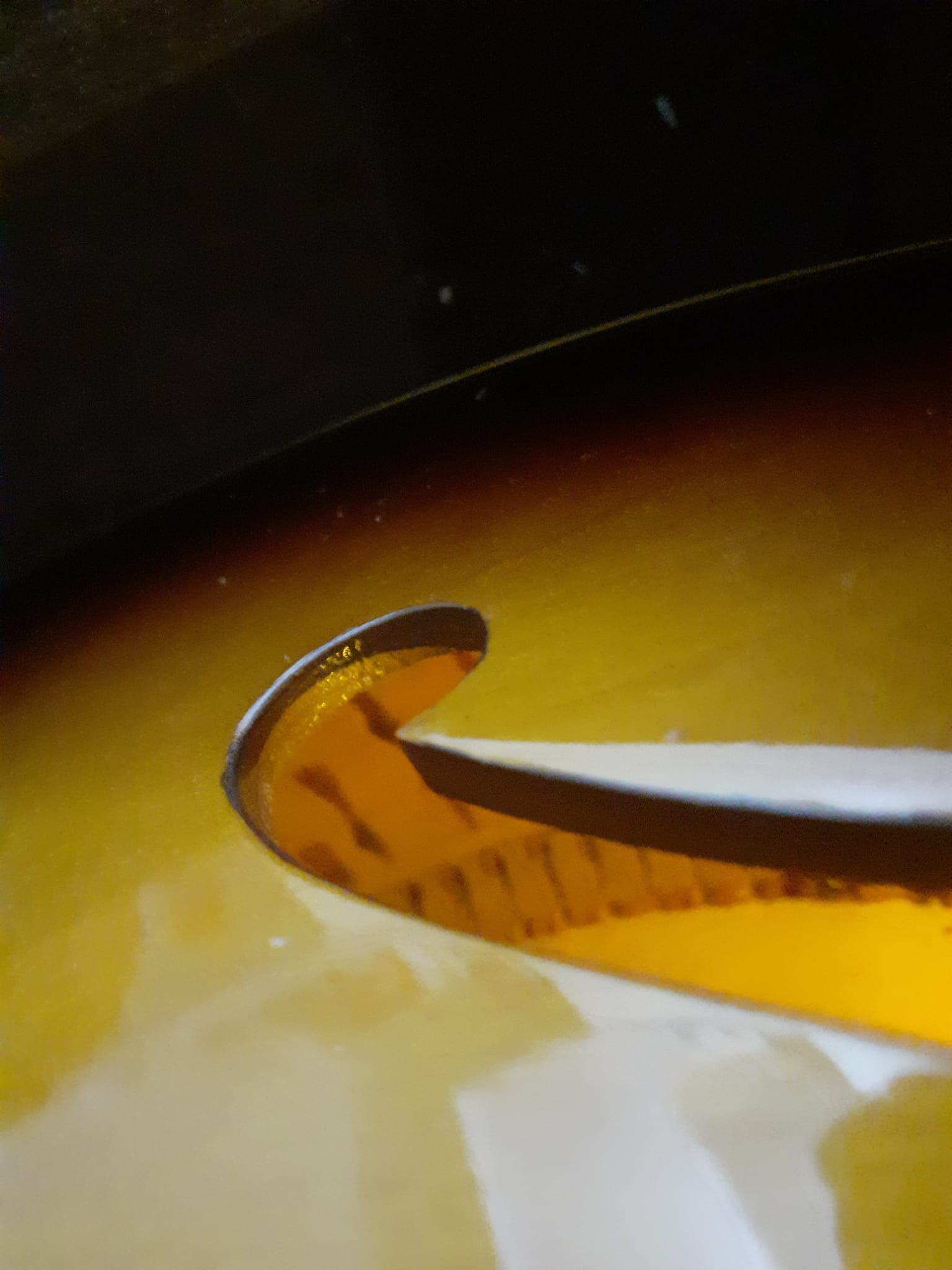 1958 GIBSON ES-125 - Picked up yesterday-img-20251105-wa0001-jpg