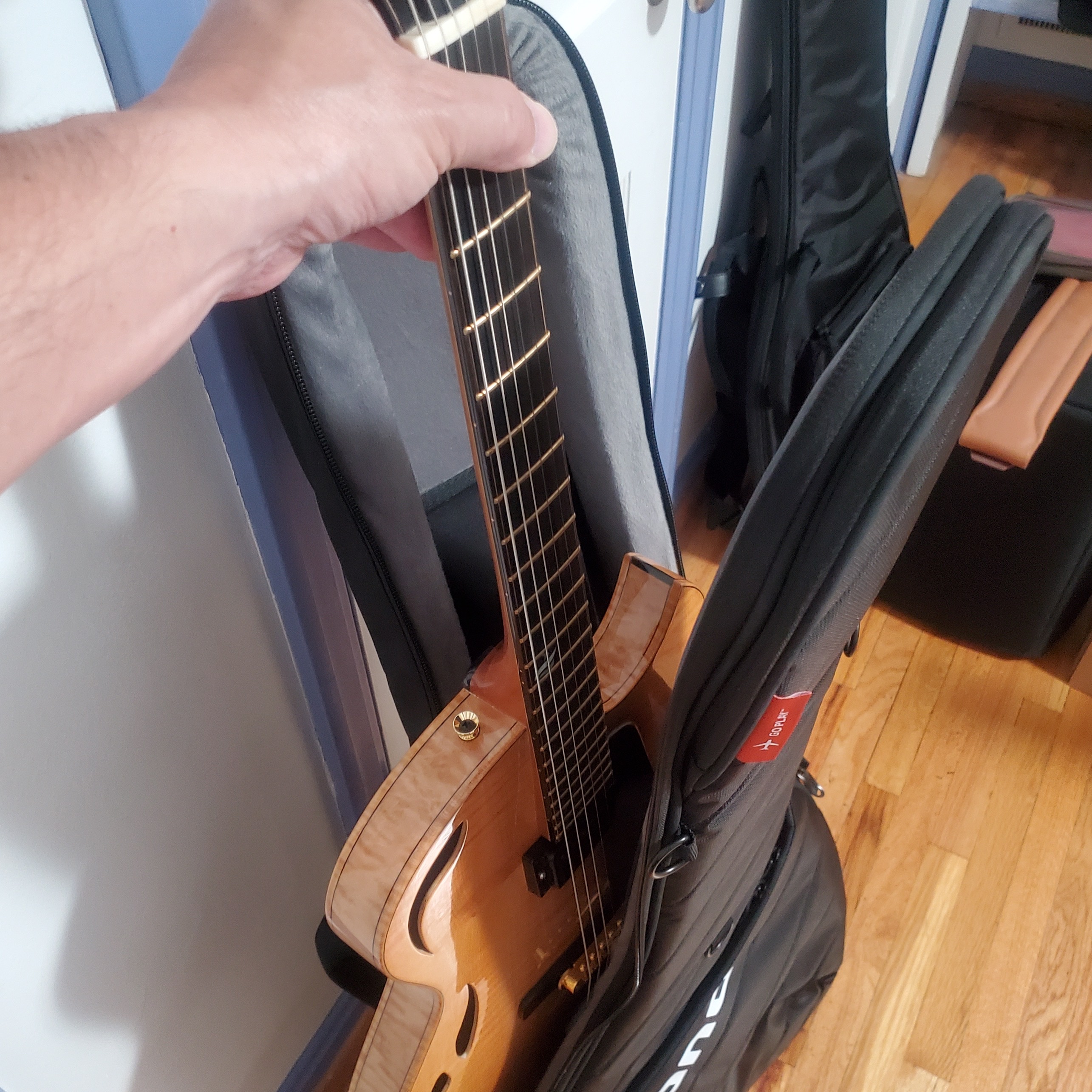 Gig Bag for 16" shallow depth archtops?-mono-holst-out-jpg
