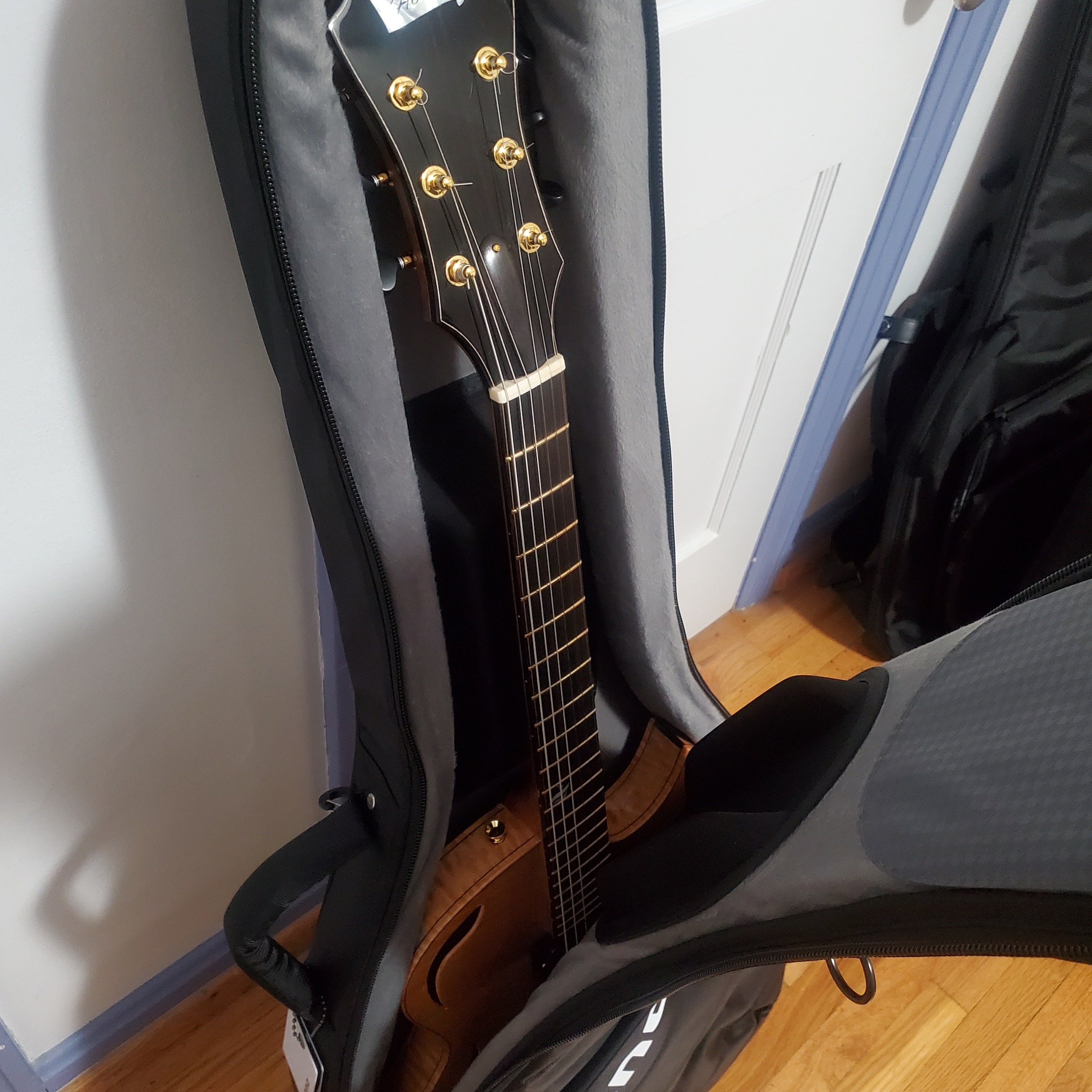 Gig Bag for 16" shallow depth archtops?-mono-holst-top-jpg
