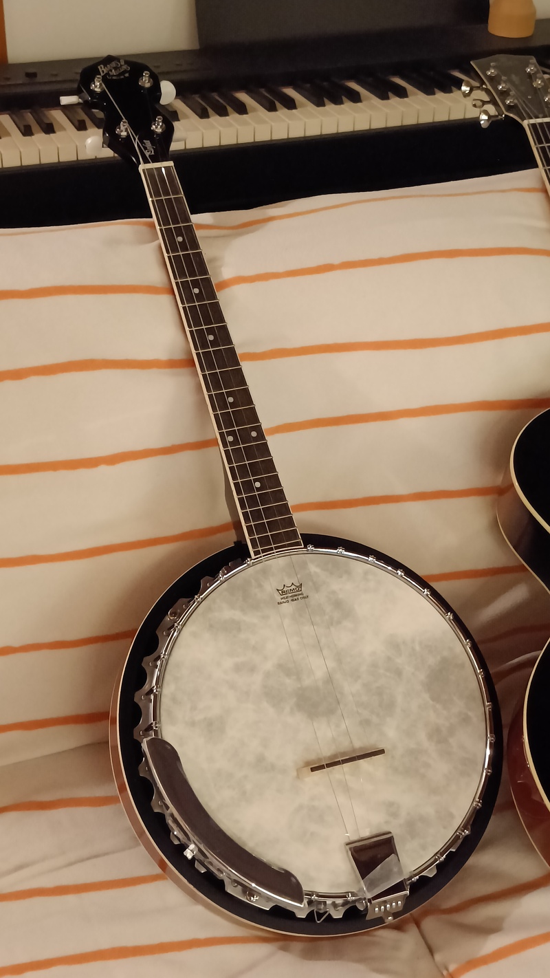 NPBD, Plectrum Banjo is a thing!-banjo-jpg