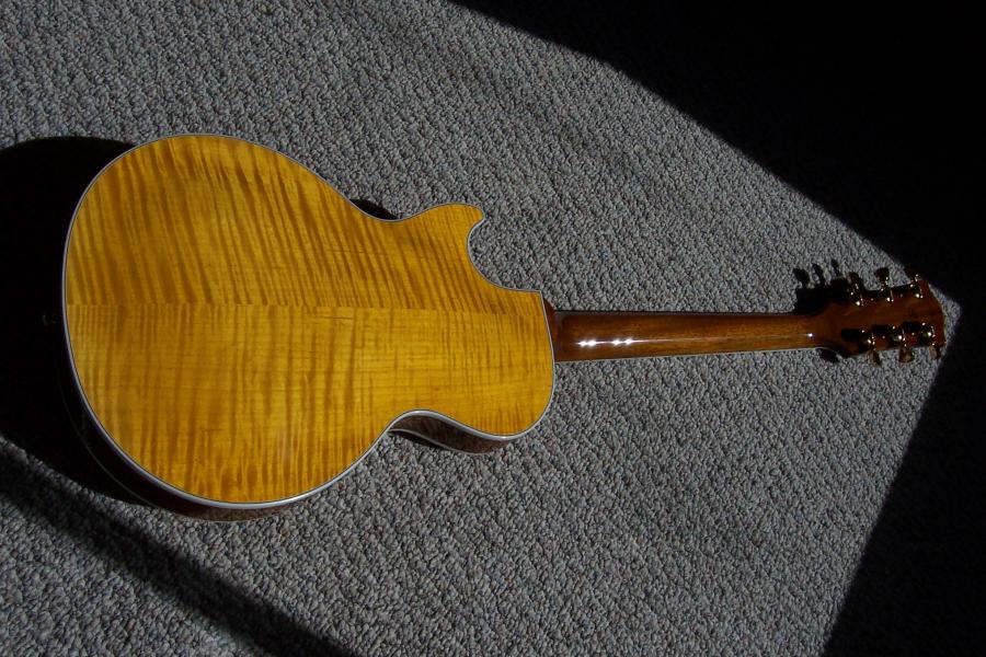 Gibson Les Paul Supreme Jazz Hybrid-gibson-lp-supreme-ii-rear-jpg