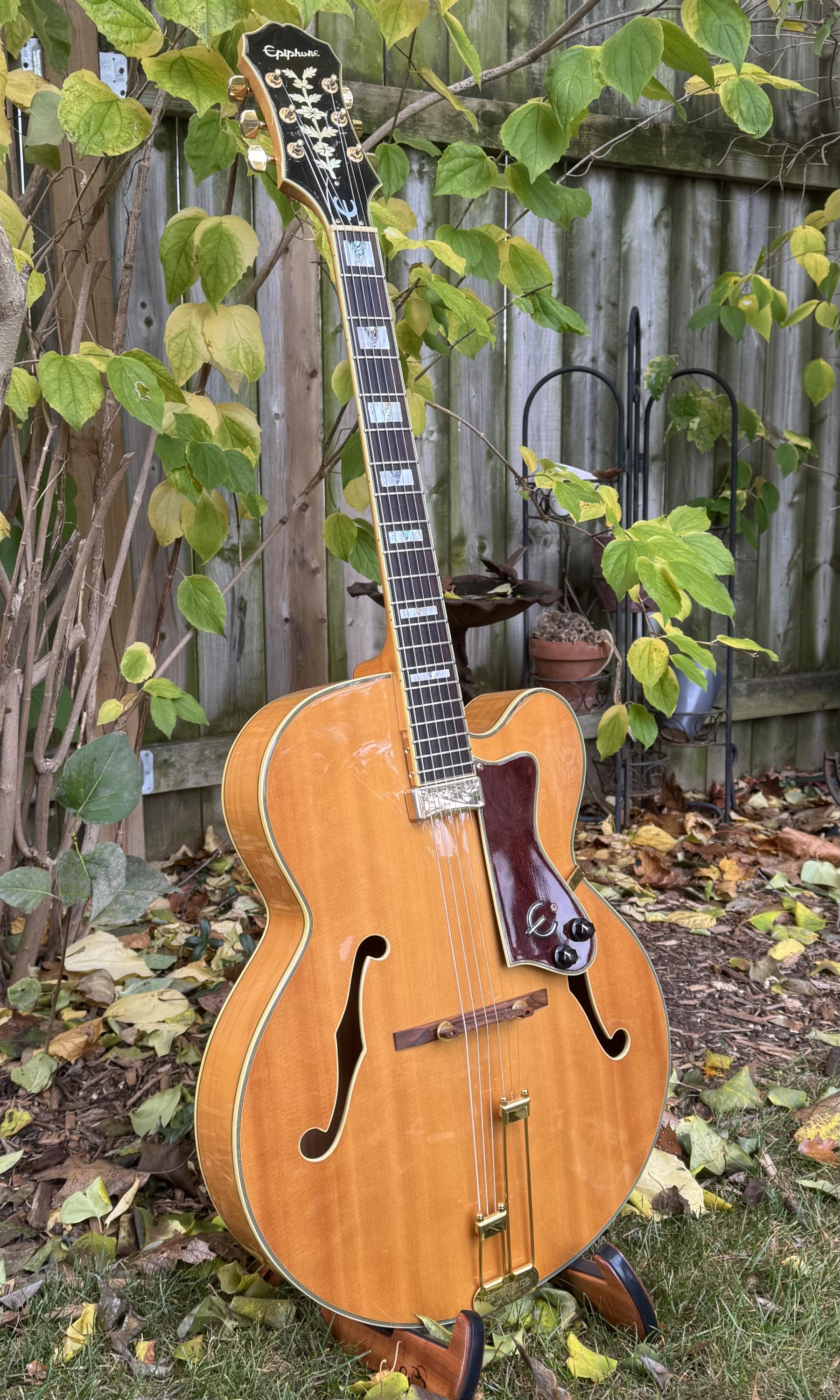 Guitar Case for Epiphone Emperor Jazz Regent-img_7695-jpg