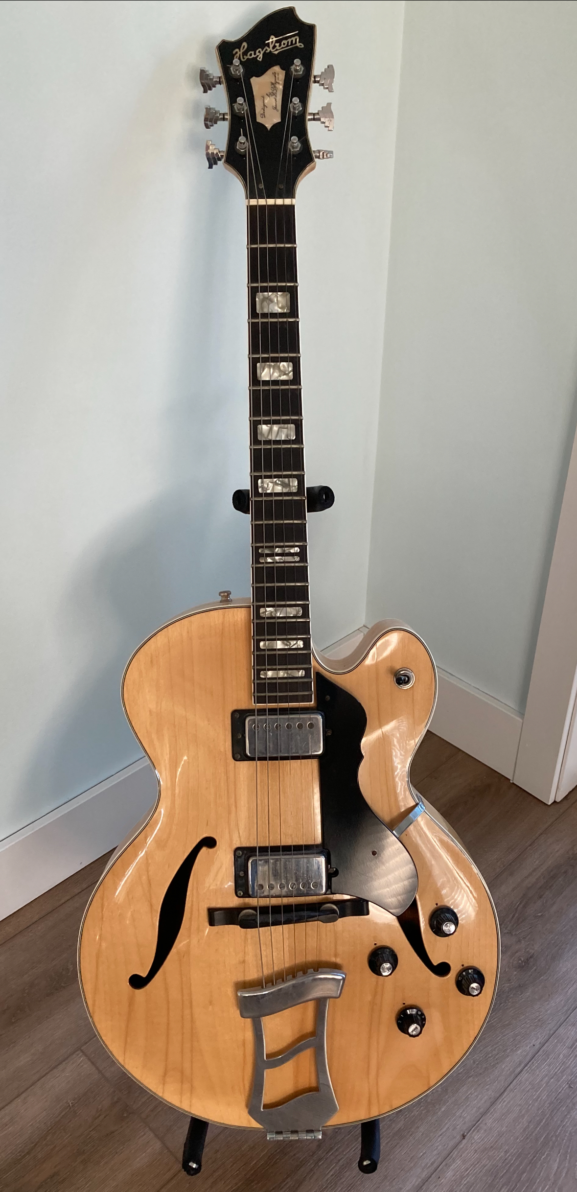 Cleaning My 1977 &lsquo;Jimmy&rsquo; Hagstrom.-img_9862-jpeg