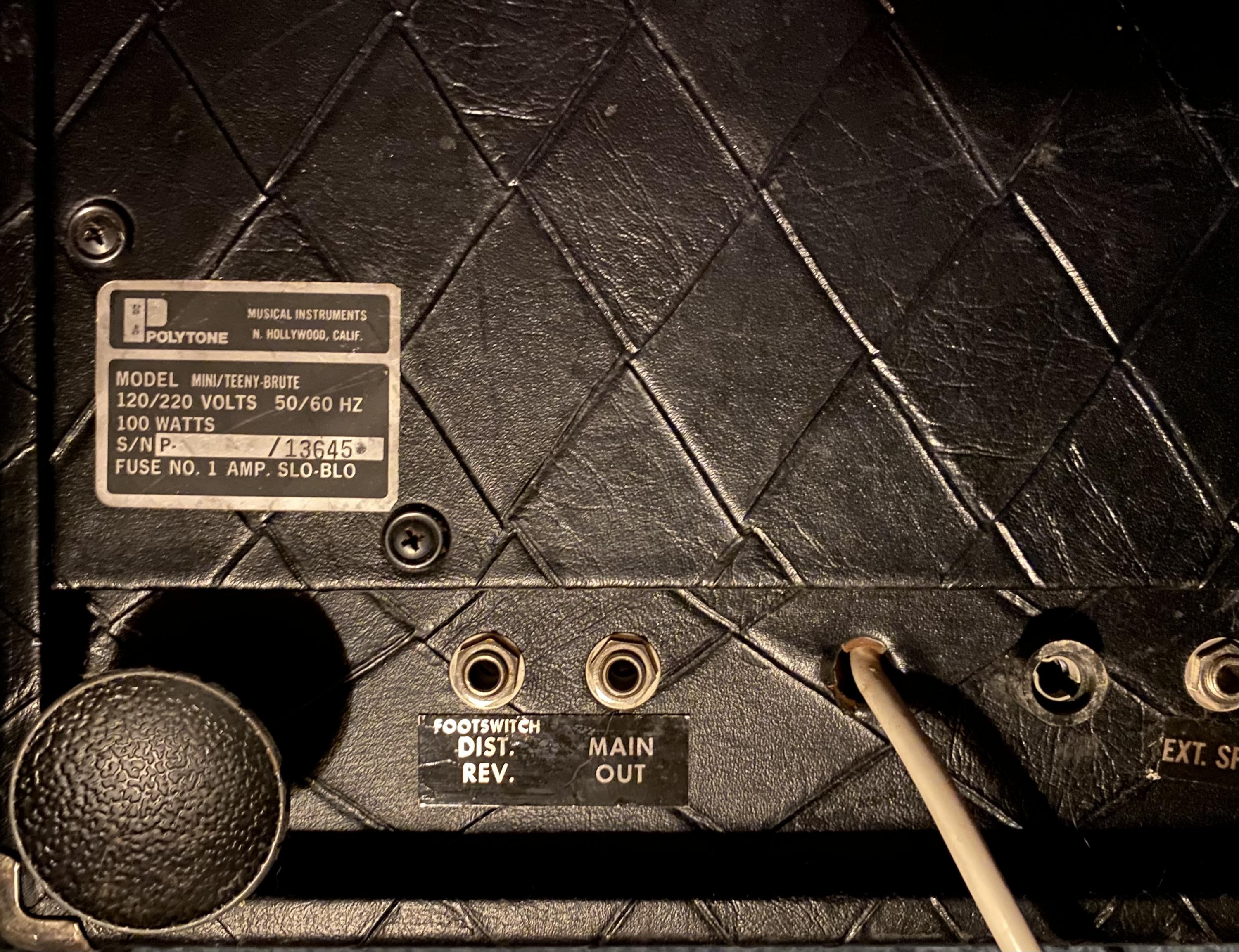 Polytone Mini Brute II - Power switch-img_8405-jpg