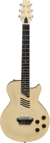 Searching for a Nylon string electric that checks all the boxes-landscape-se-01-jpg