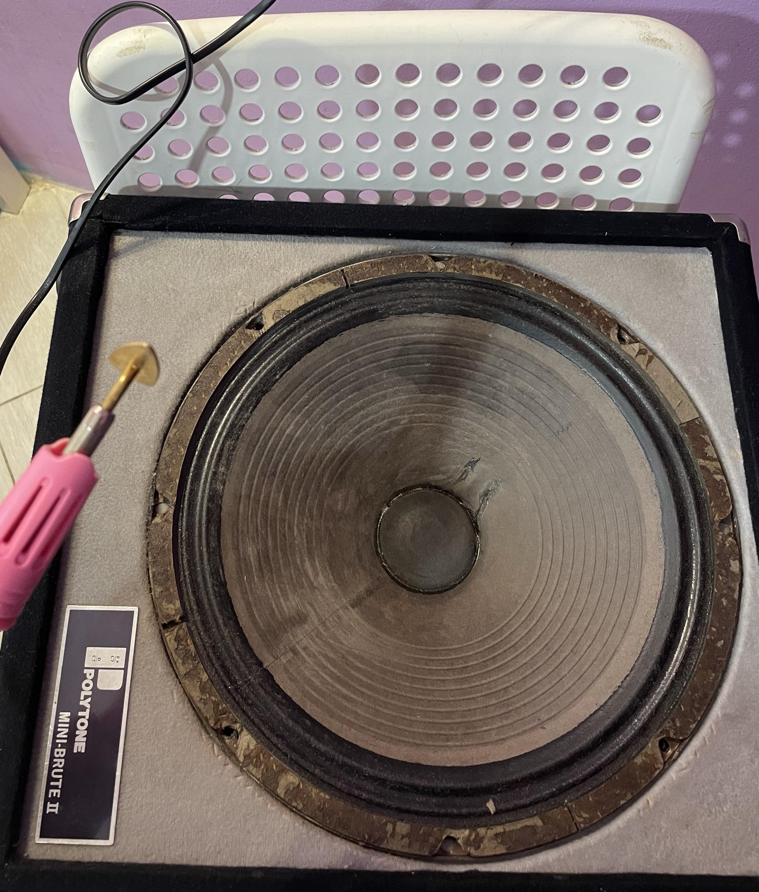 Polytone Mini Brute II Restoration-img_1548-jpg