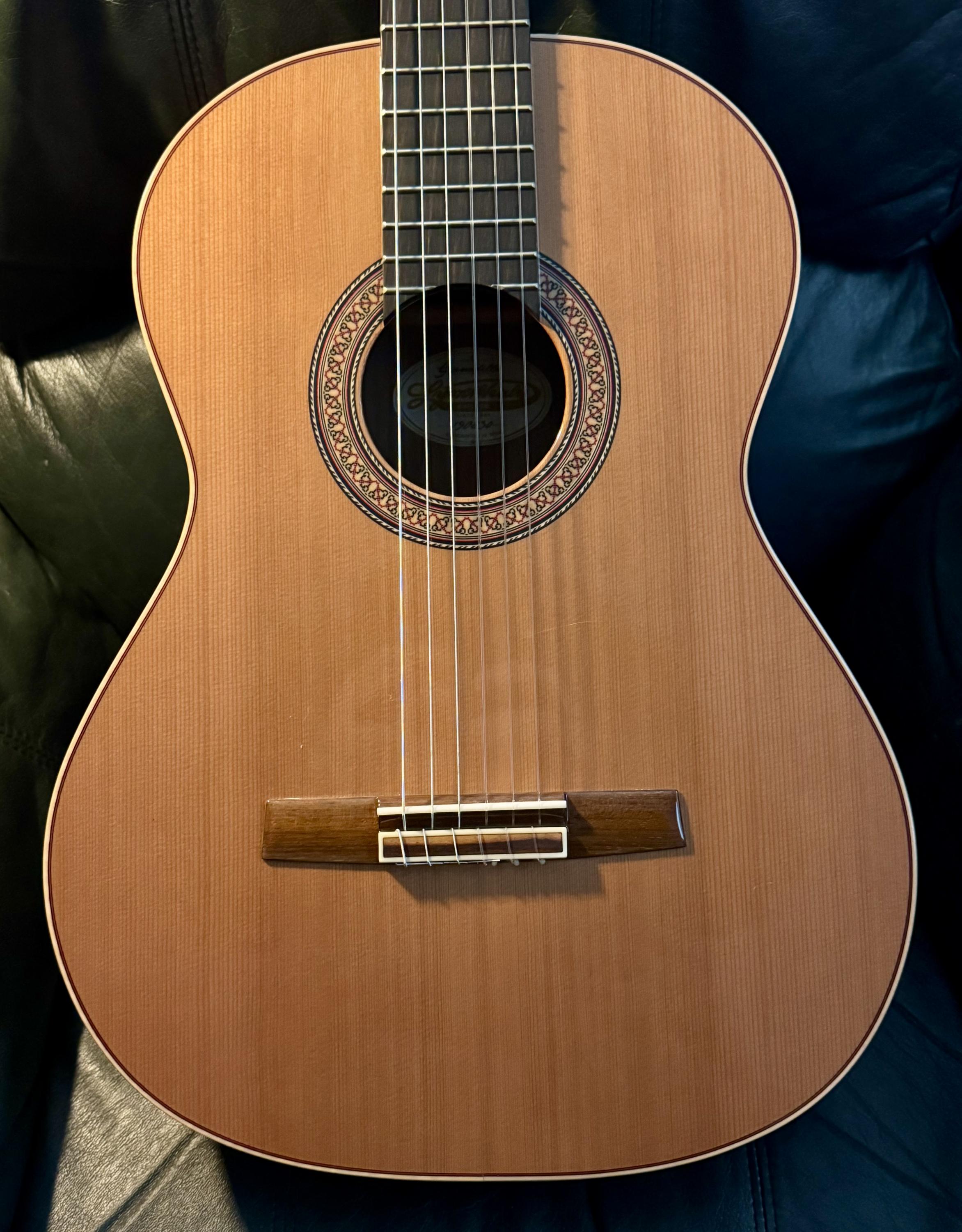 Searching for a Nylon string electric that checks all the boxes-img_3970-jpg