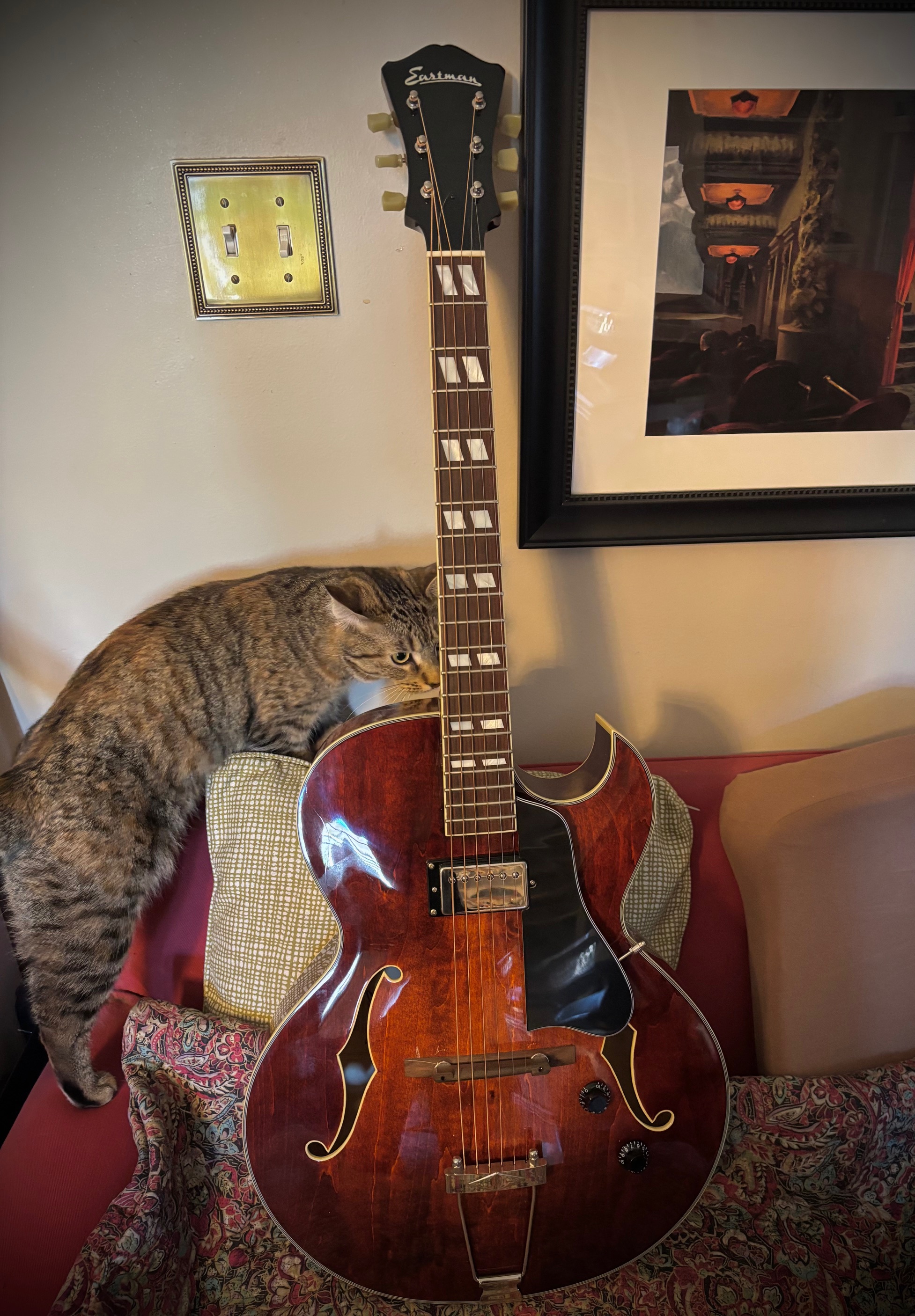 NUGD: Eastman AR371CE-img_5250-jpeg