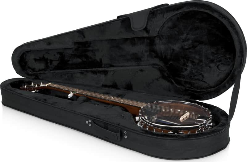 Gig bags for L5 or Heritage Eagle guitar-gatorcase-jpg