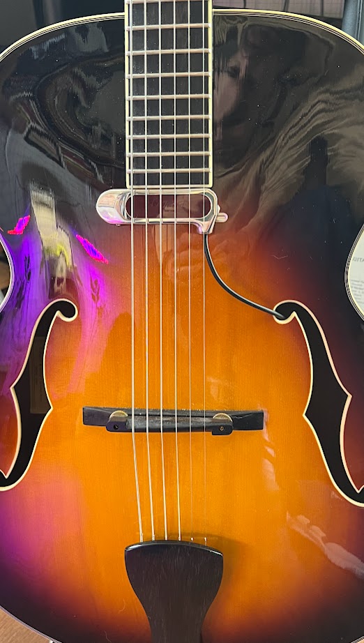 Eastman AR610 - Pickup Options-img_6115-jpg