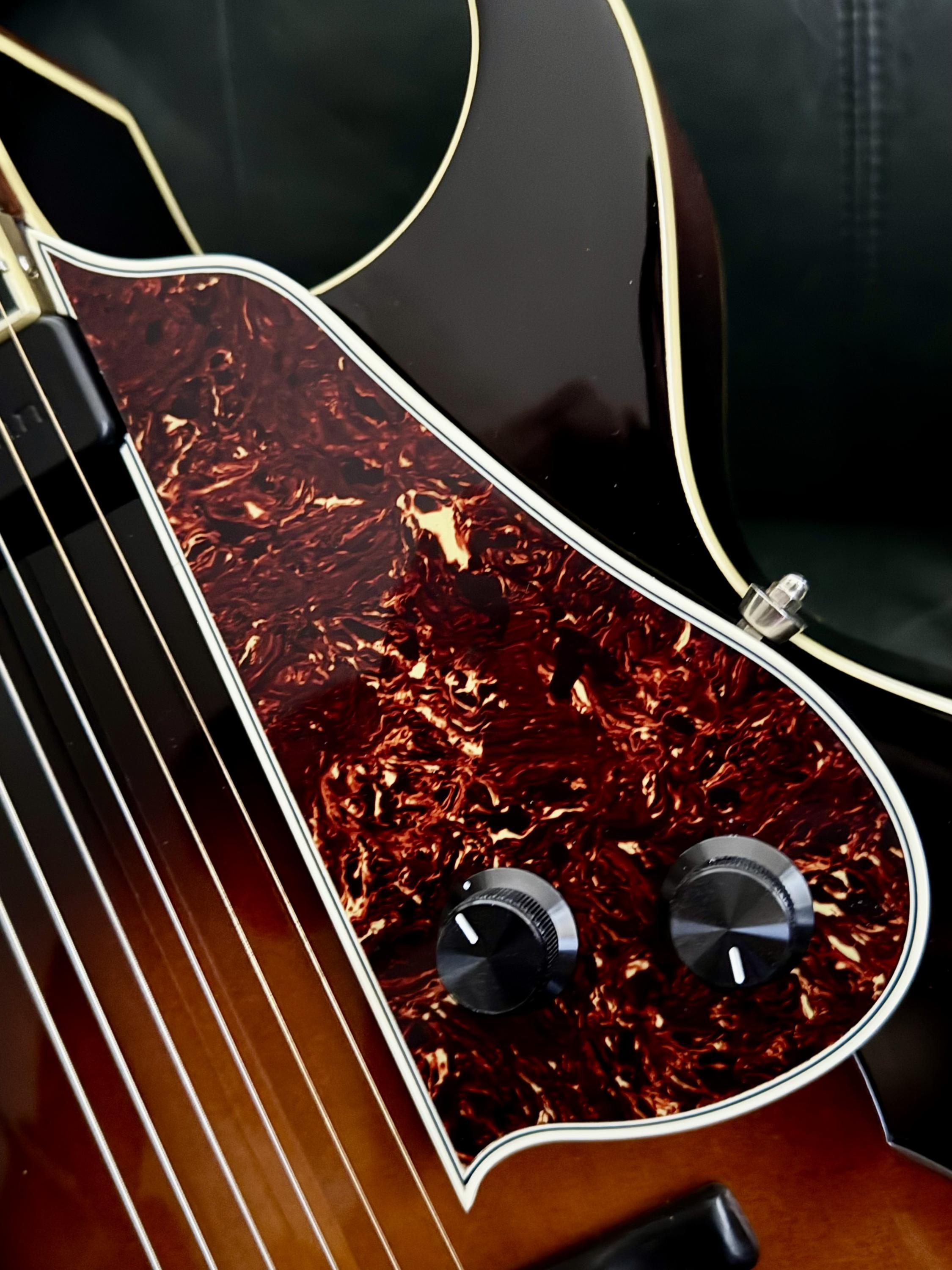 Loar LH-650 - A reworked project with the goods