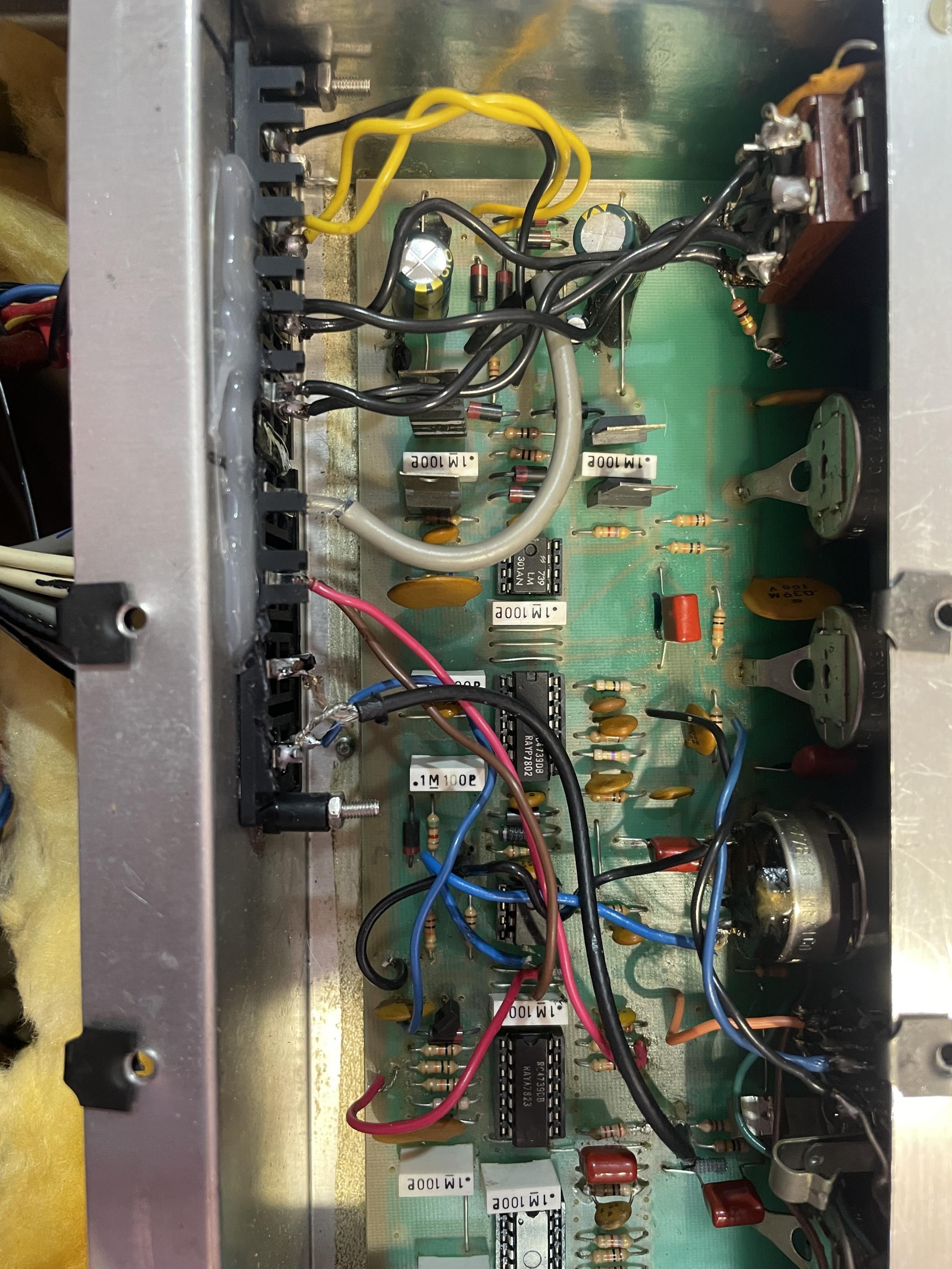 Polytone Mini Brute II Restoration-img_1674-jpg