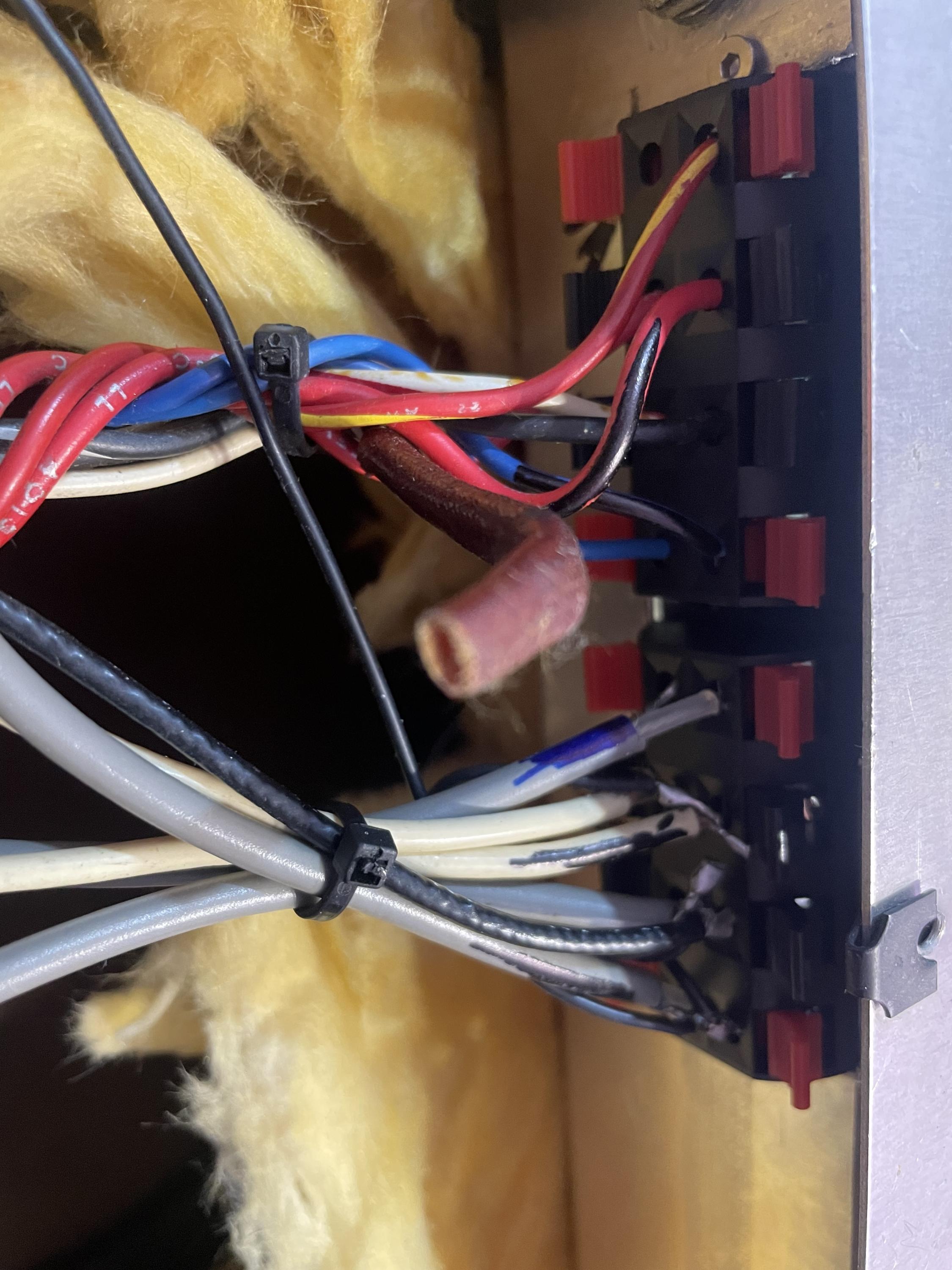 Polytone Mini Brute II Restoration-img_1675-jpg