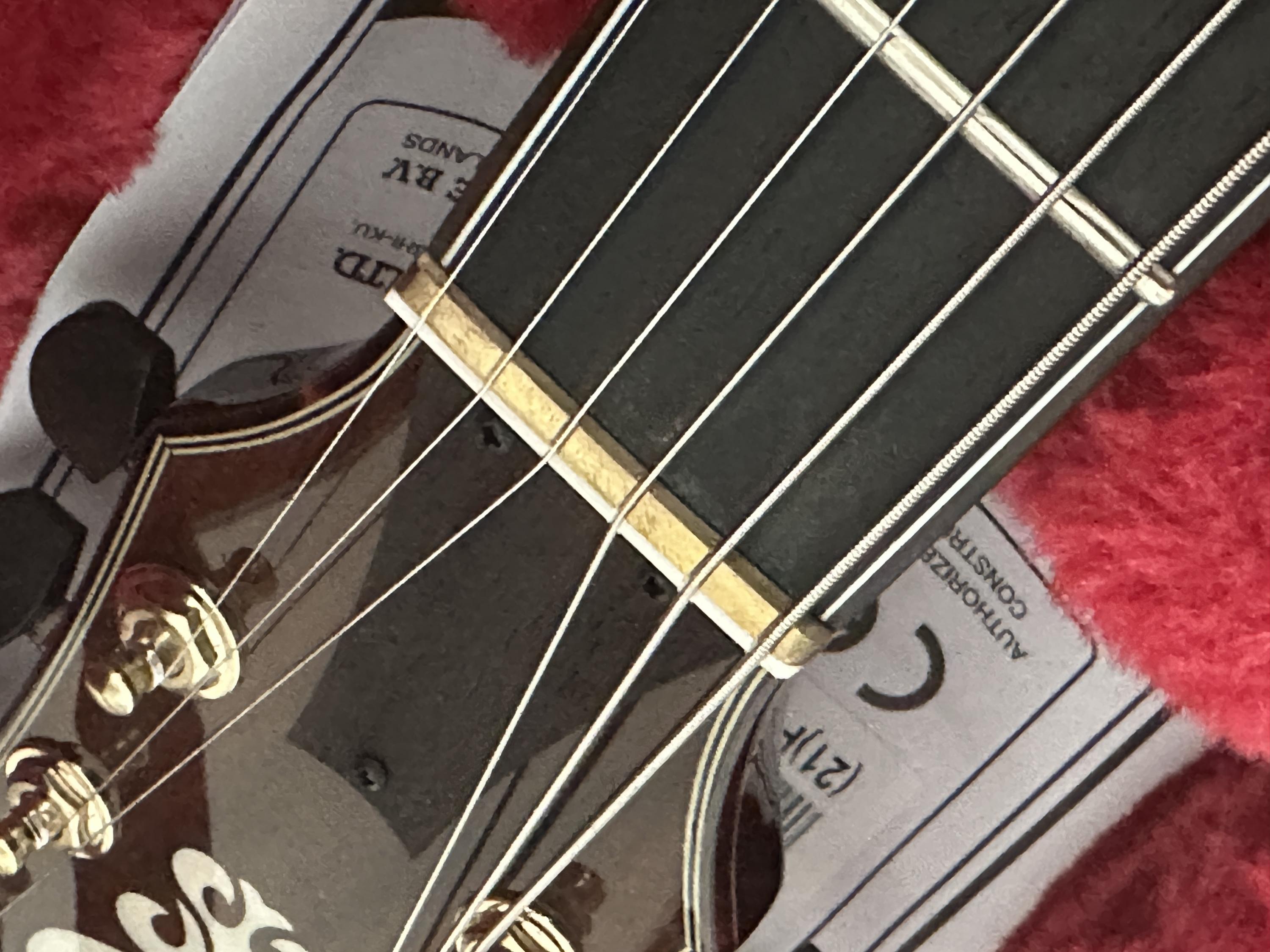 Ibanez ASH300-img_4336-jpg