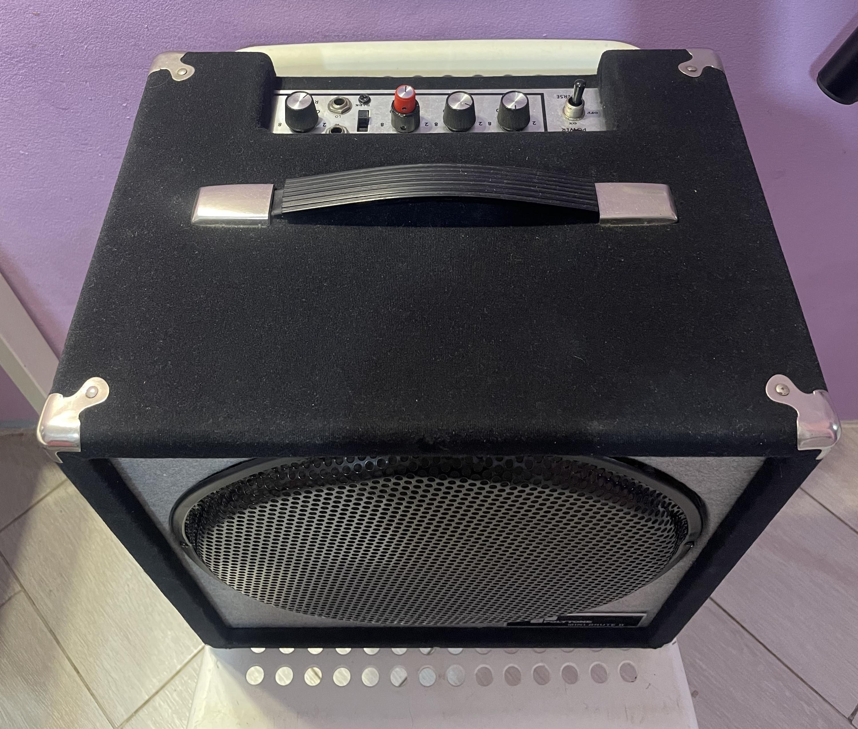 Polytone Mini Brute II Restoration-img_1715-jpg