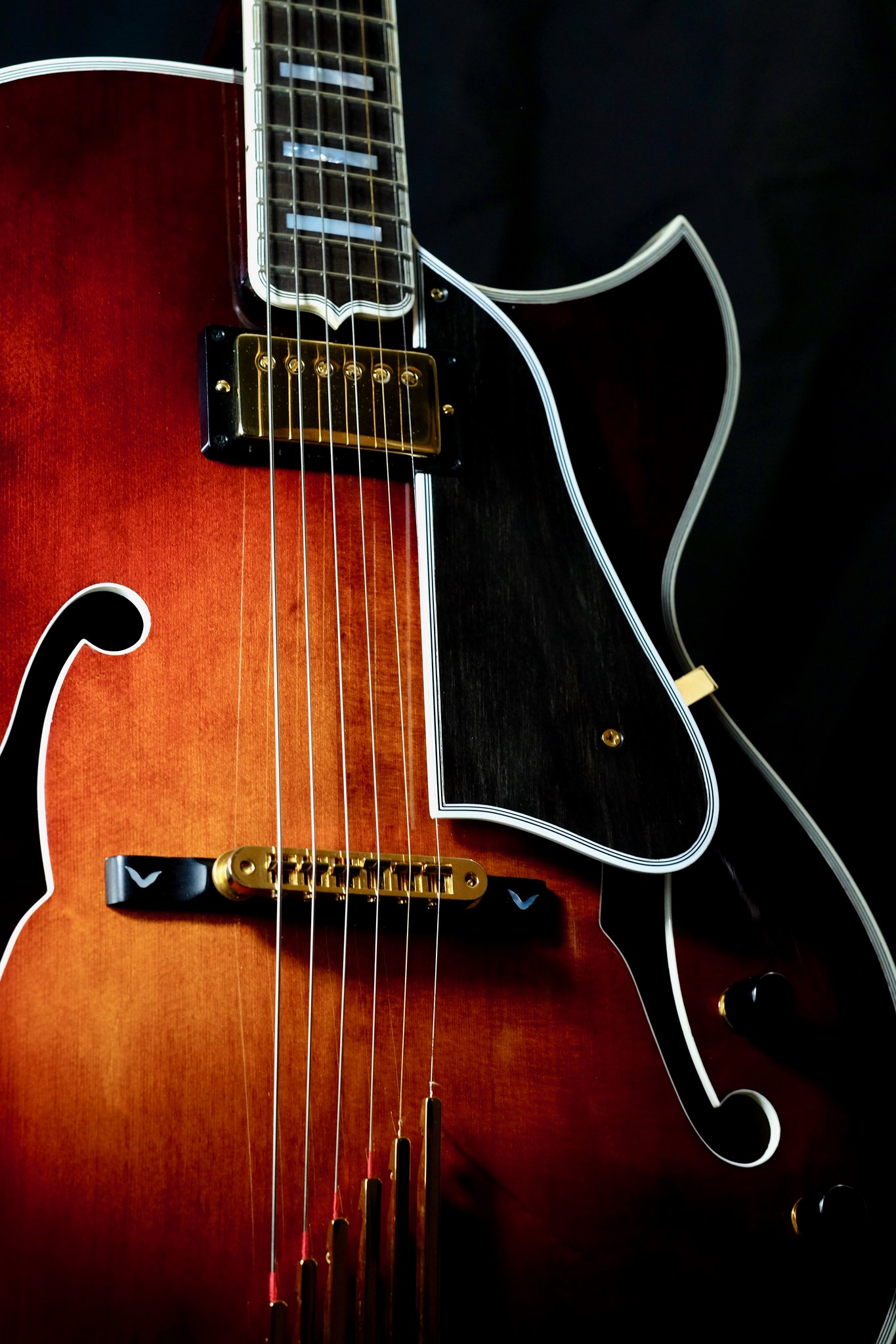 Heritage Golden Eagle Thinline Custom-img_1395-jpeg