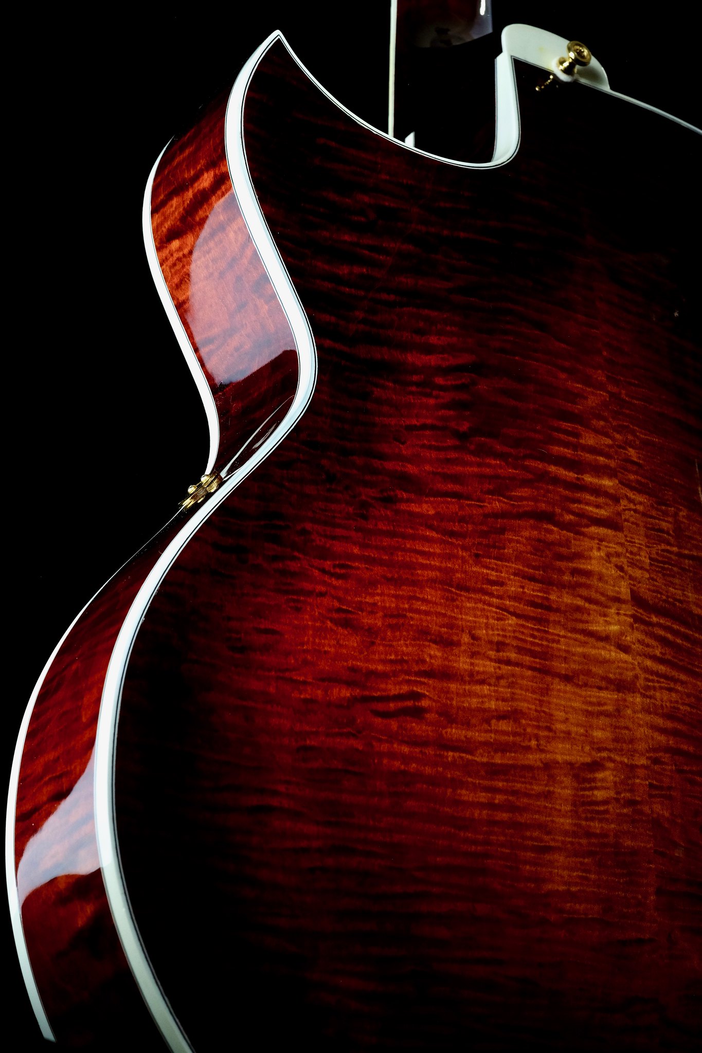 Heritage Golden Eagle Thinline Custom-img_1396-jpeg