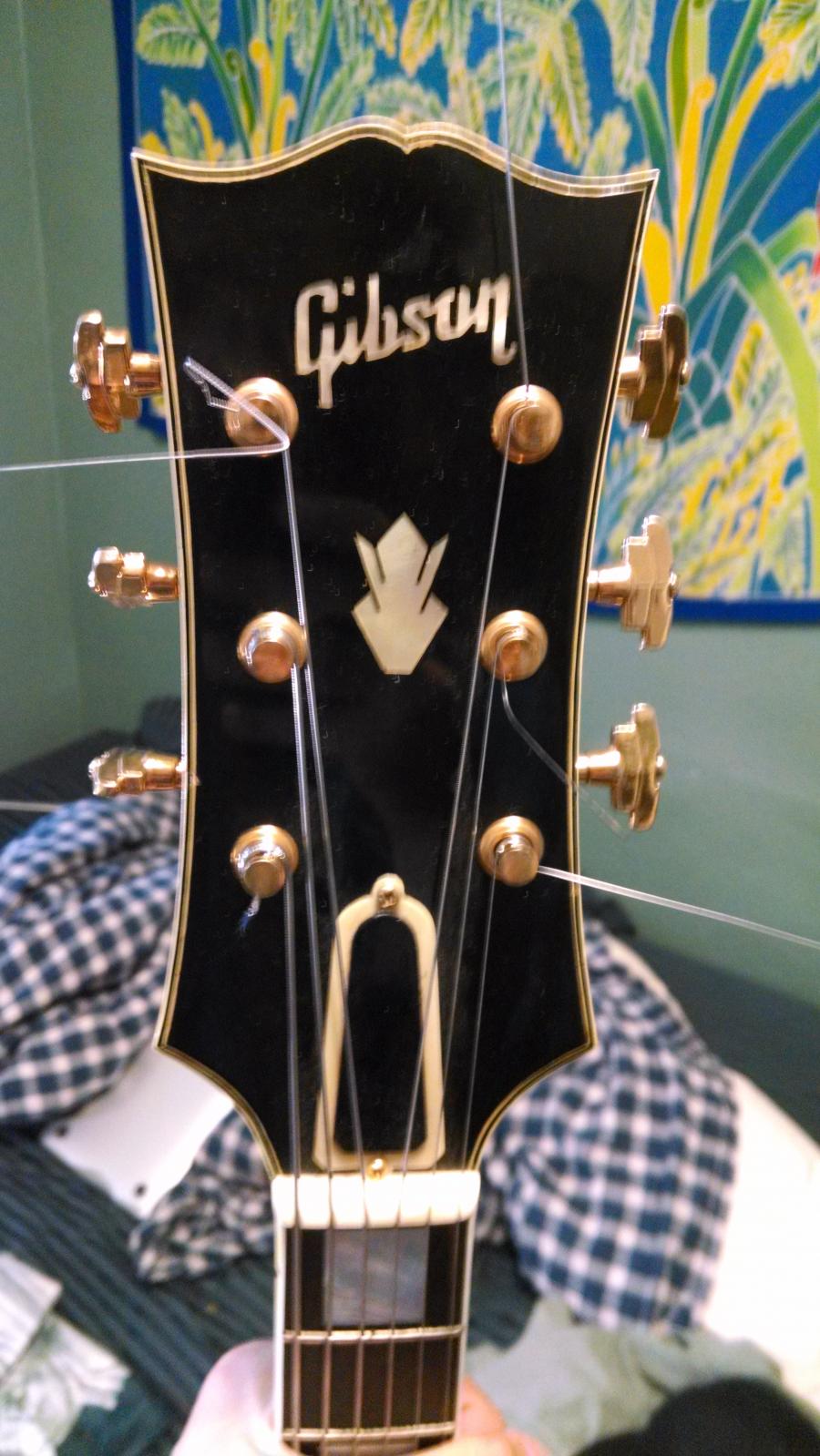 Gibson Super 300/Stromberg frankenstein-img_20140628_204346537_hdr-jpg