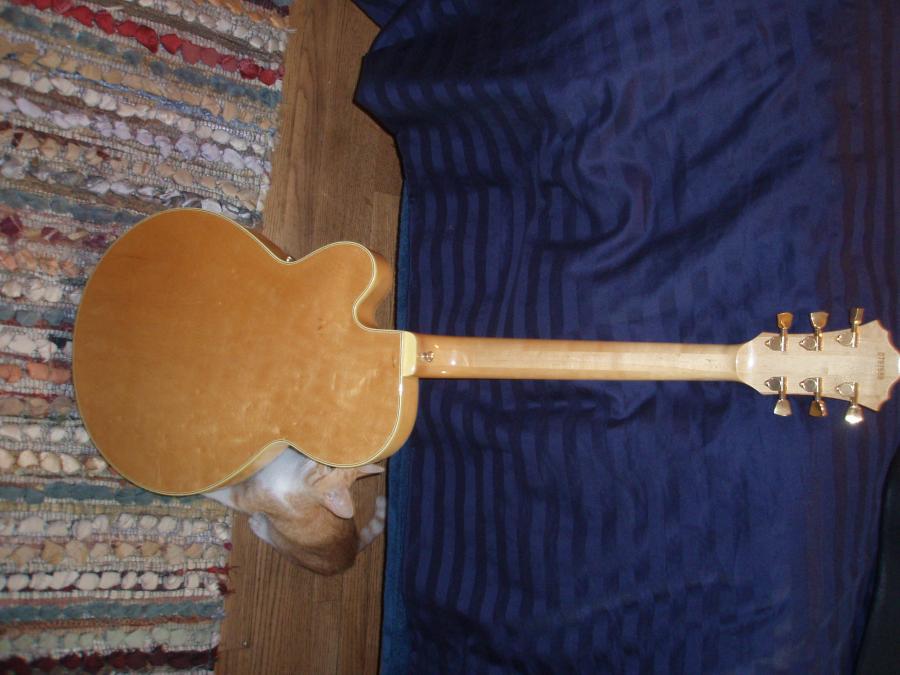 A rare Greco L5 in Maple arrives...-p1070403-jpg
