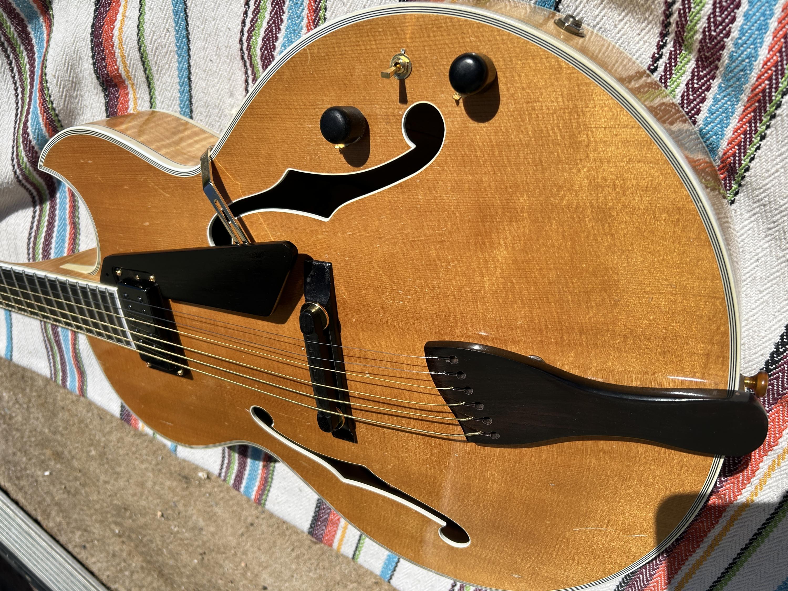 Guitar Recommendations - Lightweight and Upper Fret Access-img-1762-jpg