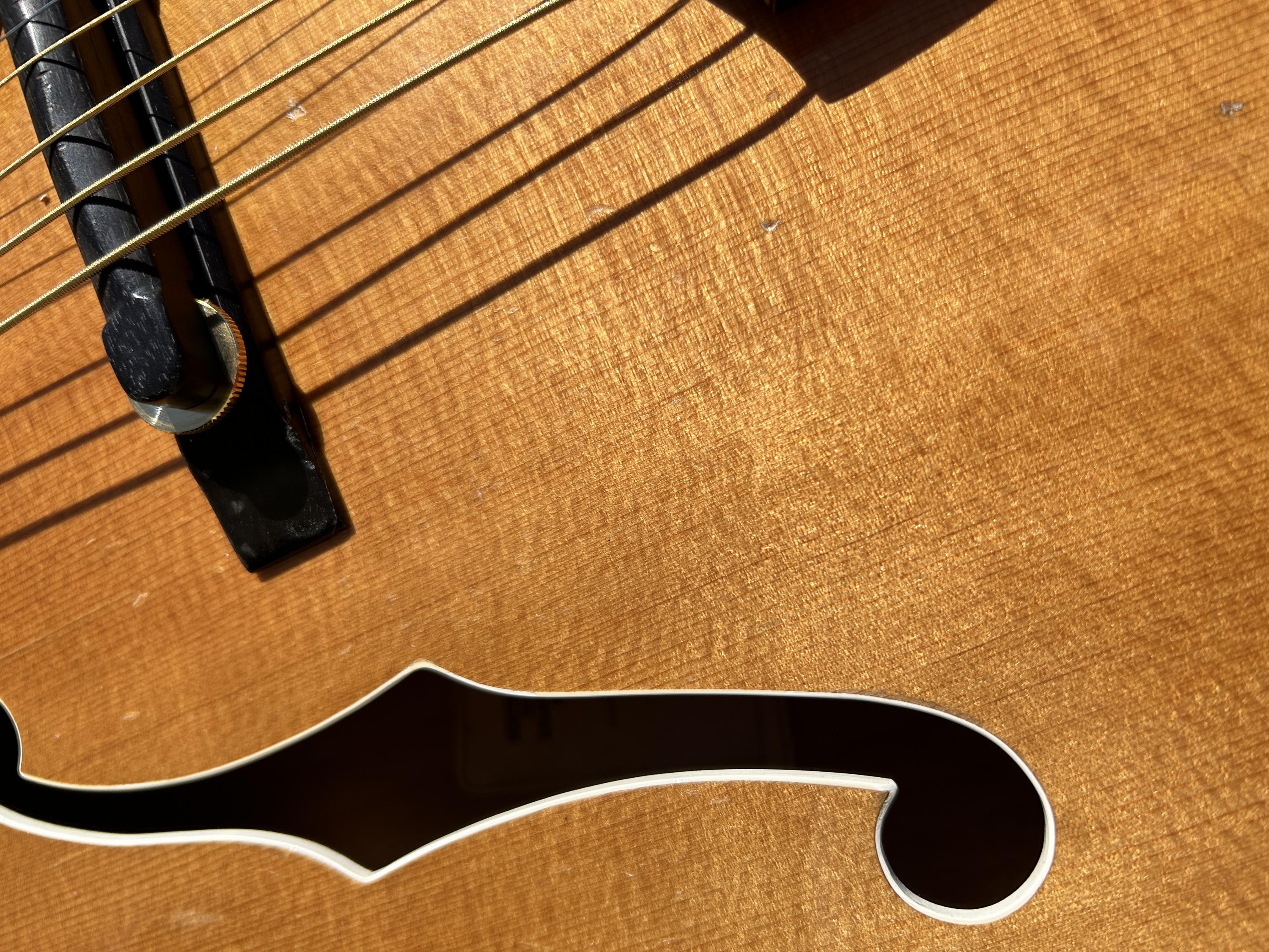 Guitar Recommendations - Lightweight and Upper Fret Access-img-1760-jpg