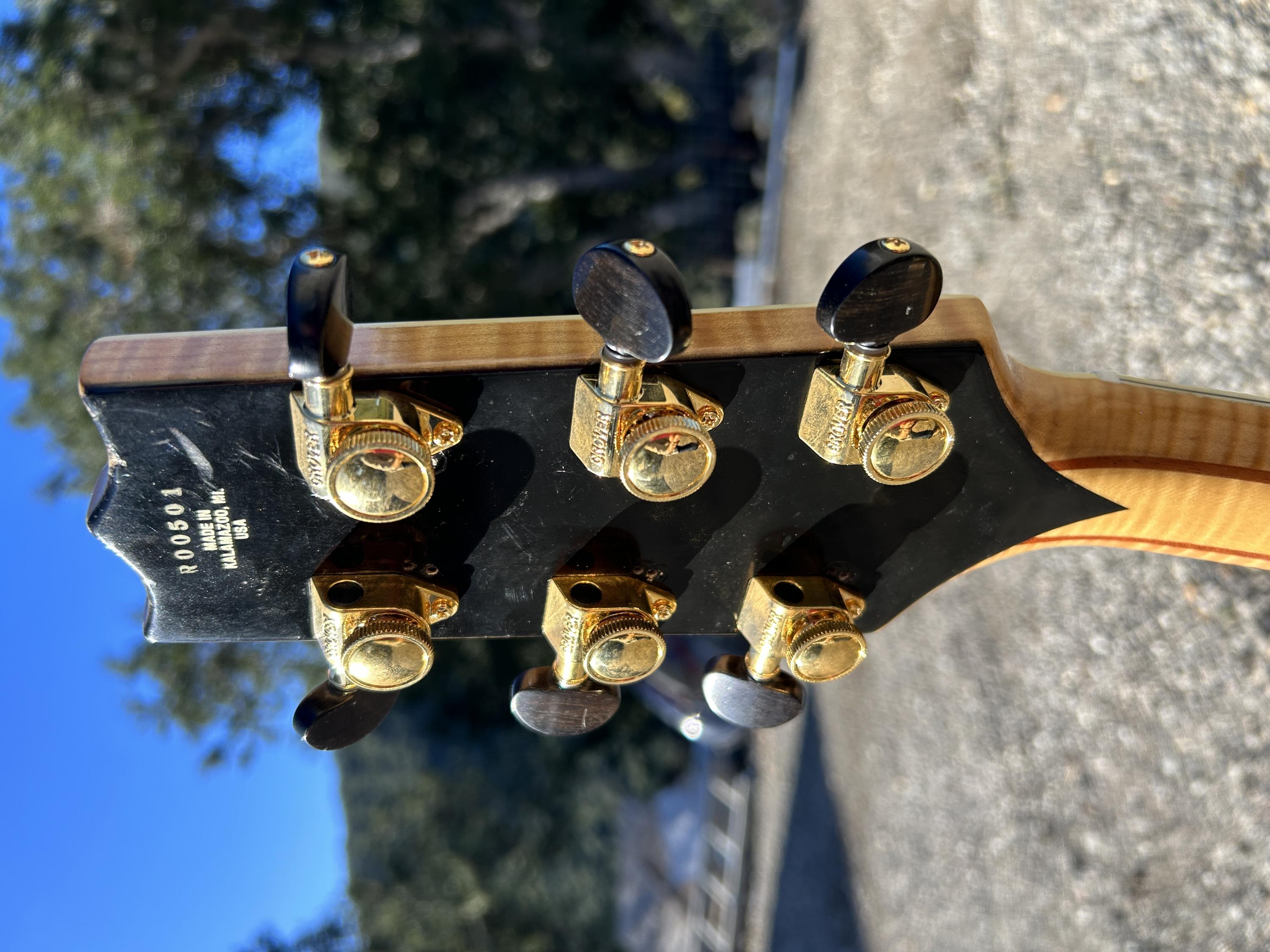 Guitar Recommendations - Lightweight and Upper Fret Access-img-1647-jpg