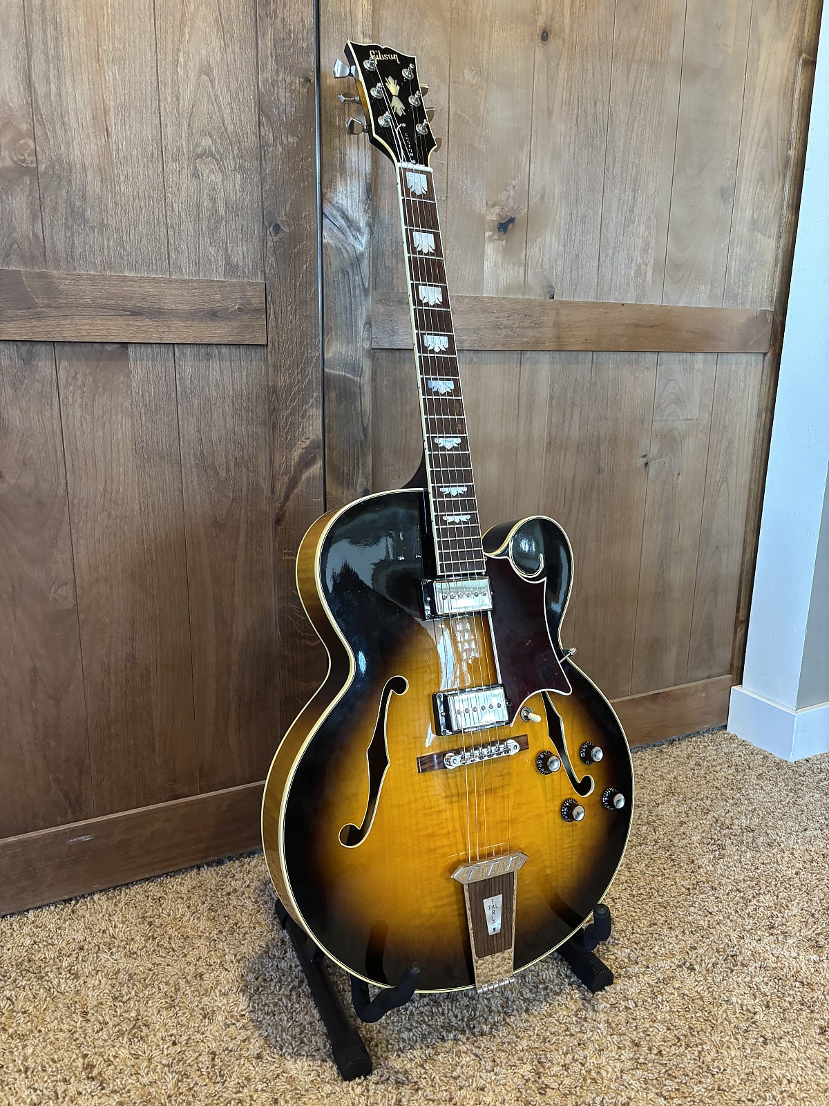Duncan phatcat silencer pickups in an archtop-fcpbmwn2j1vcjkgg2qwd-jpg