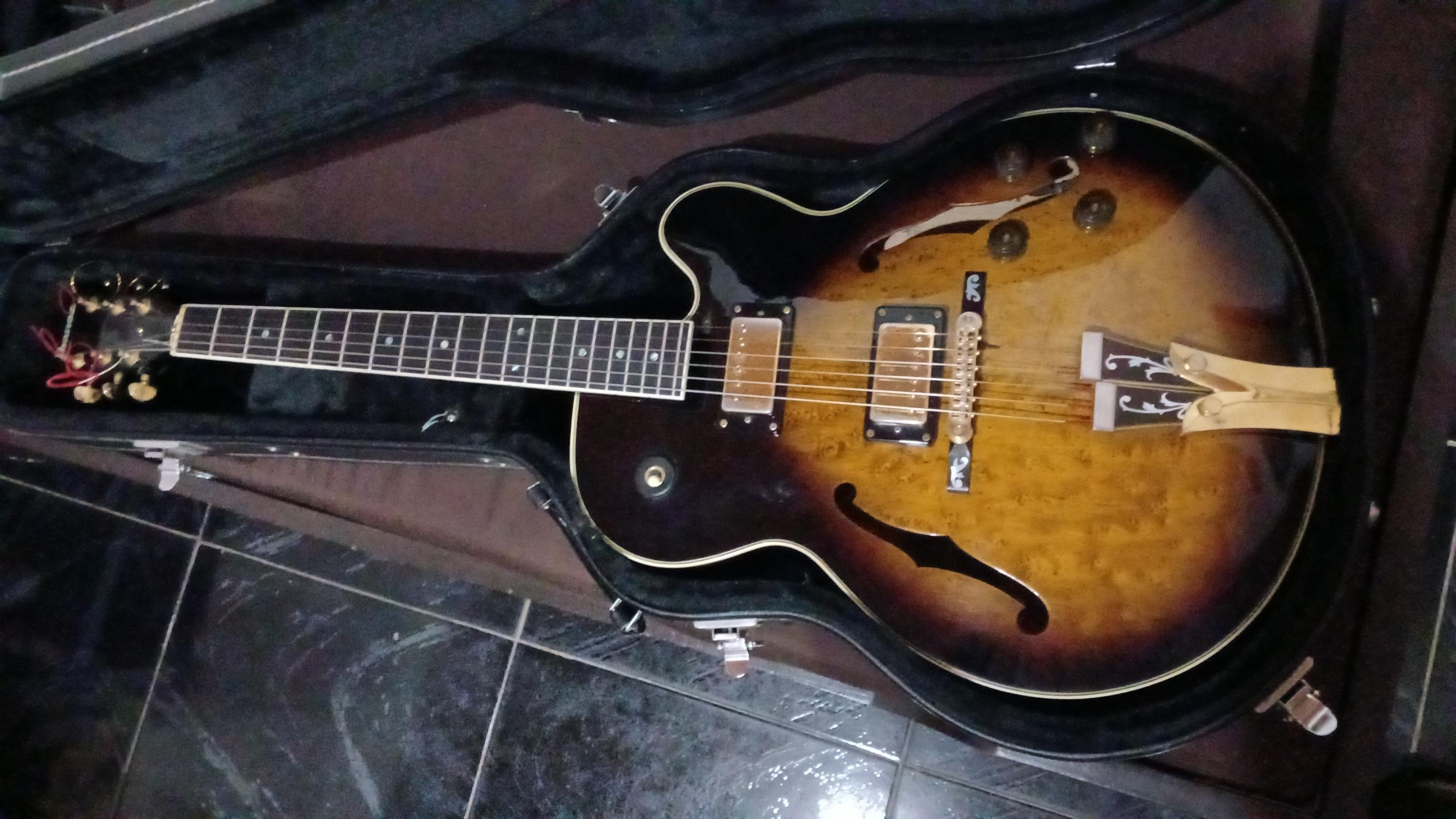Has anyone seen an Ibanez FG100 model like this?-img-20260215-wa0020-jpg