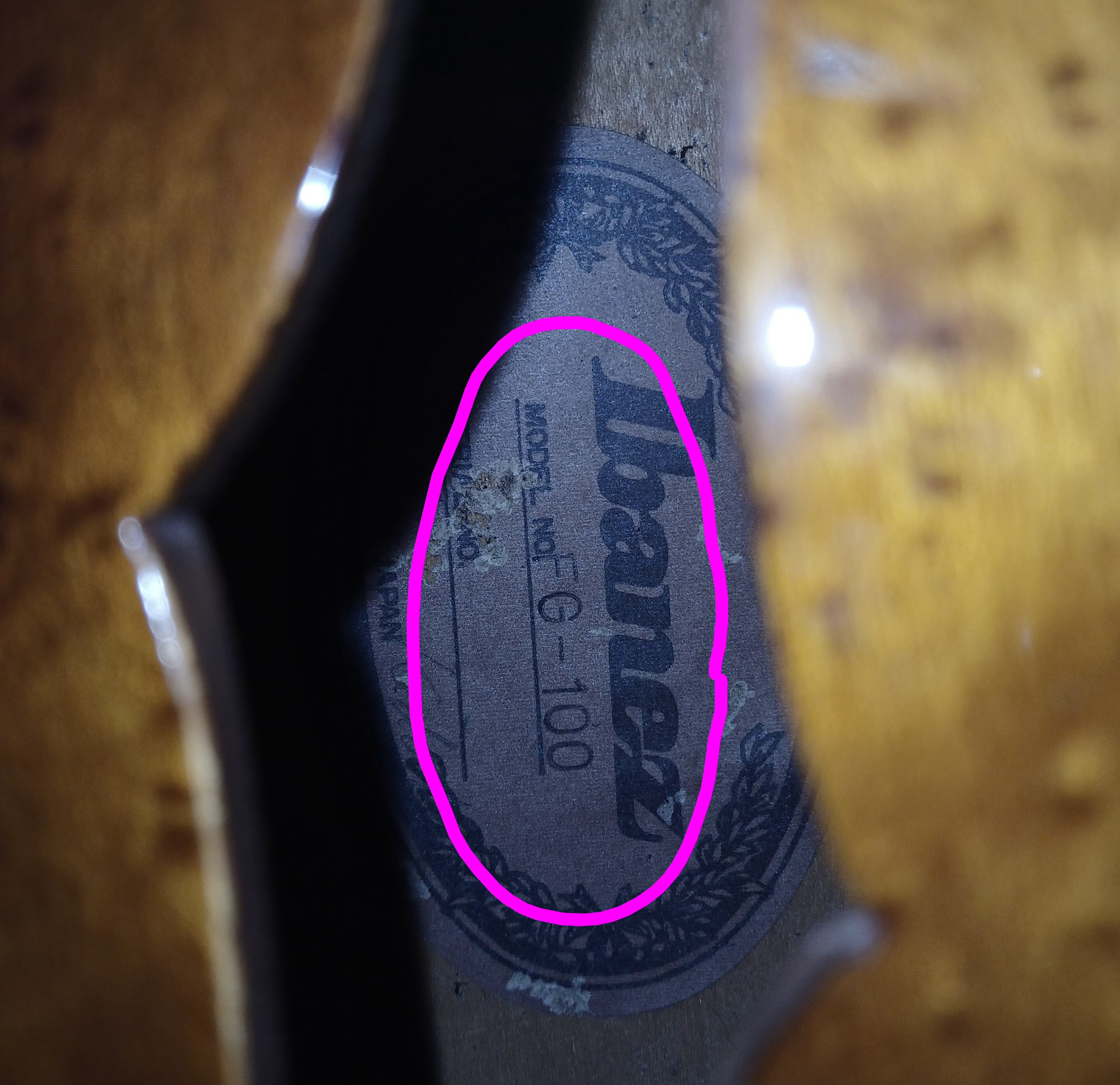 Has anyone seen an Ibanez FG100 model like this?-20260316_1622282-jpg