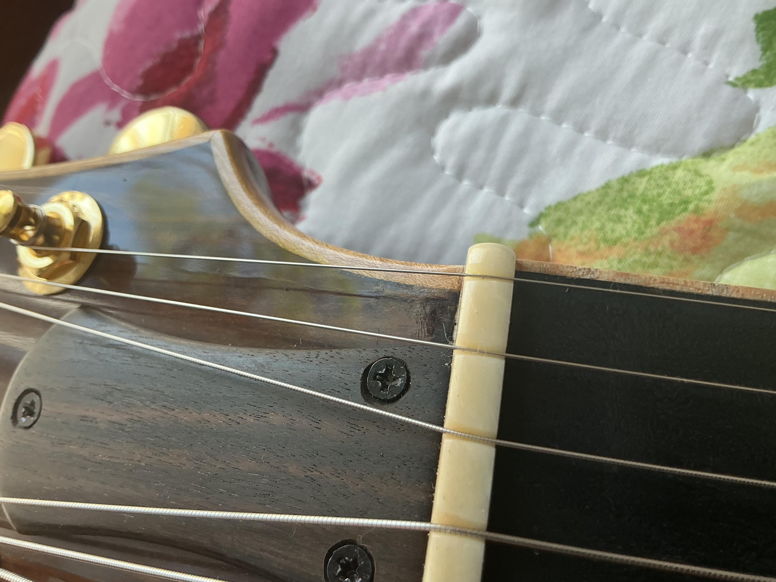 Borys Guitars-img_0817-jpg