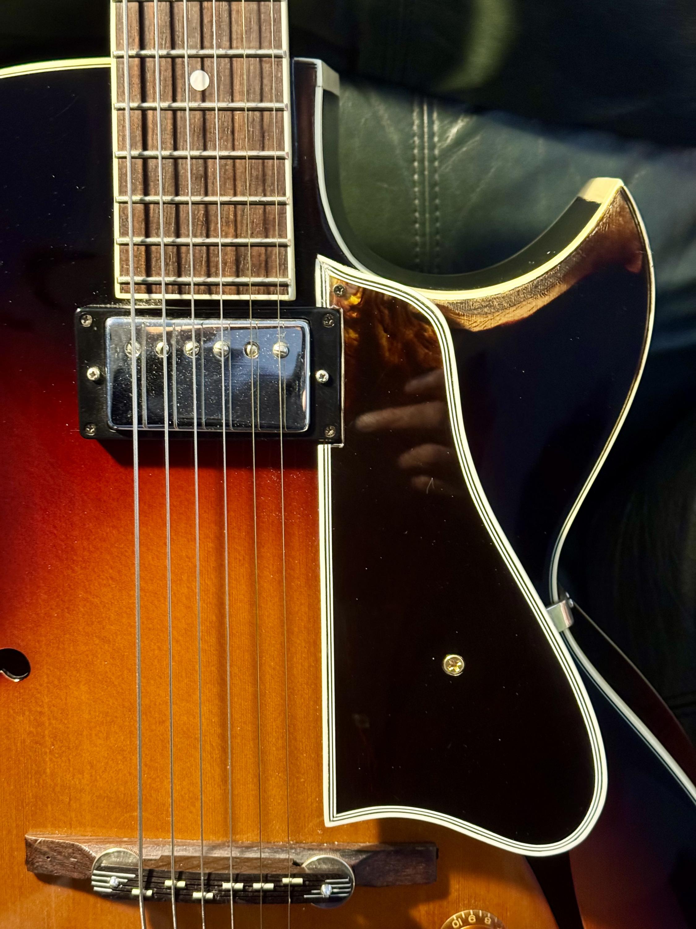 For Loar owners&hellip;something completely different!-img_4299-jpg