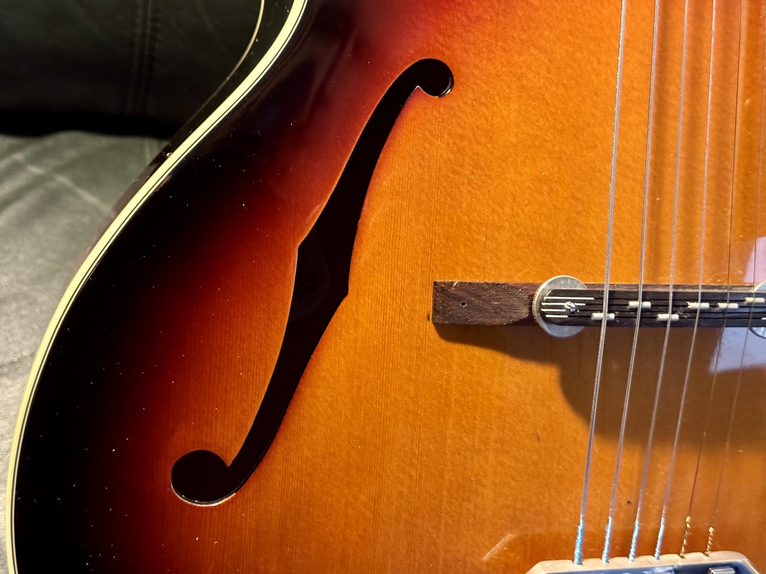 For Loar owners&hellip;something completely different!-img_4296-jpg