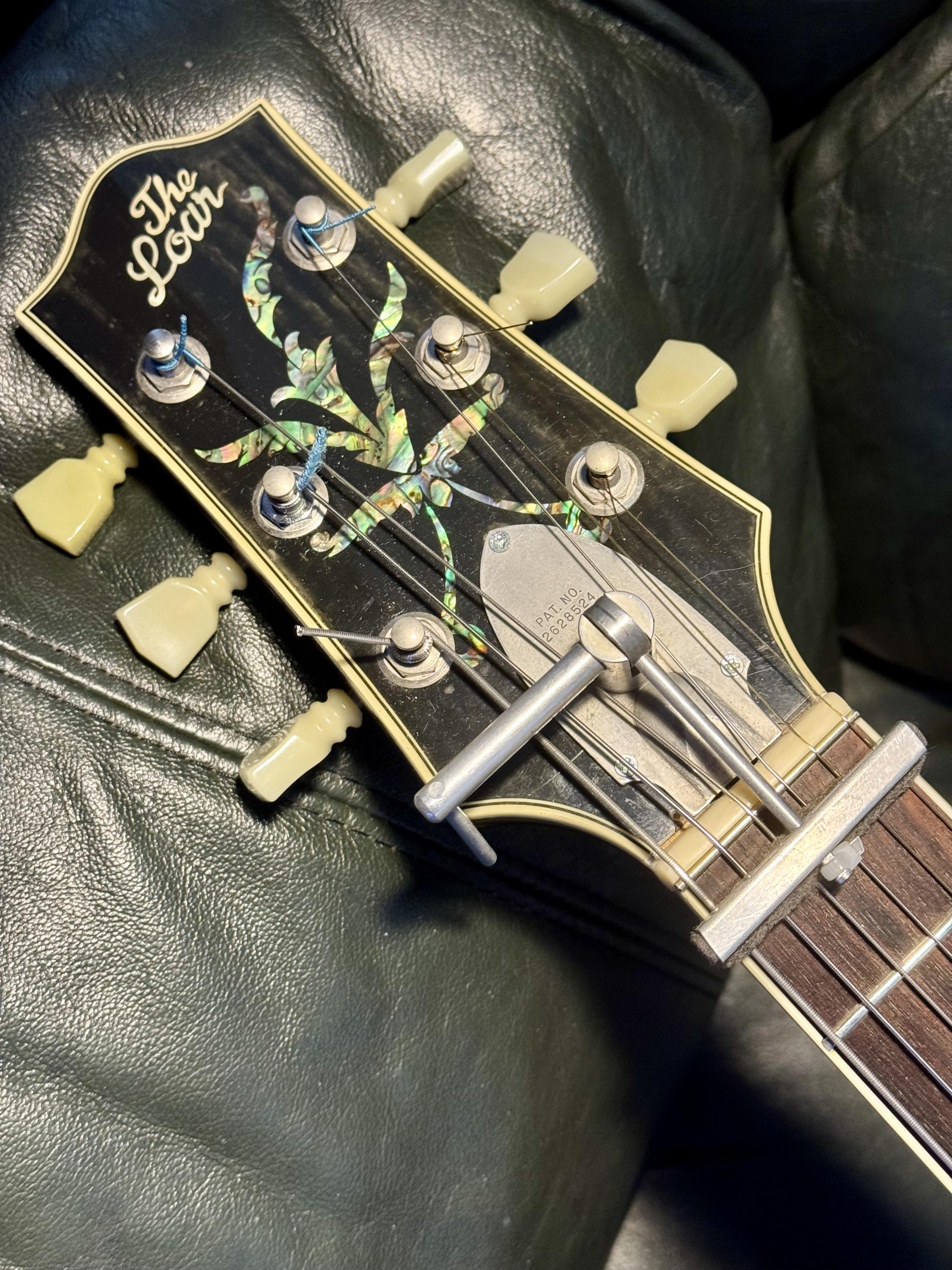 For Loar owners&hellip;something completely different!-img_4302-jpg