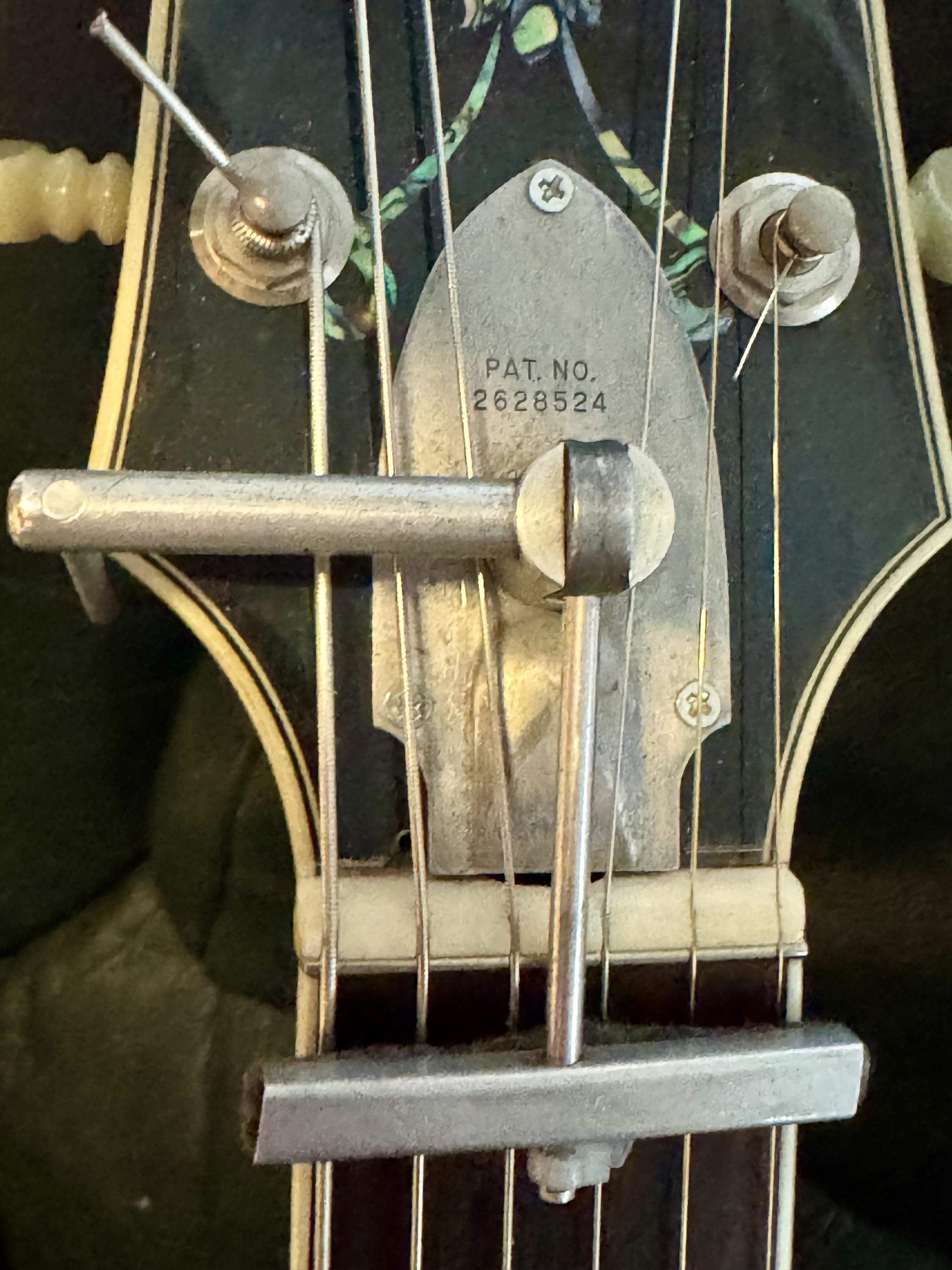 For Loar owners&hellip;something completely different!-img_4304-jpg