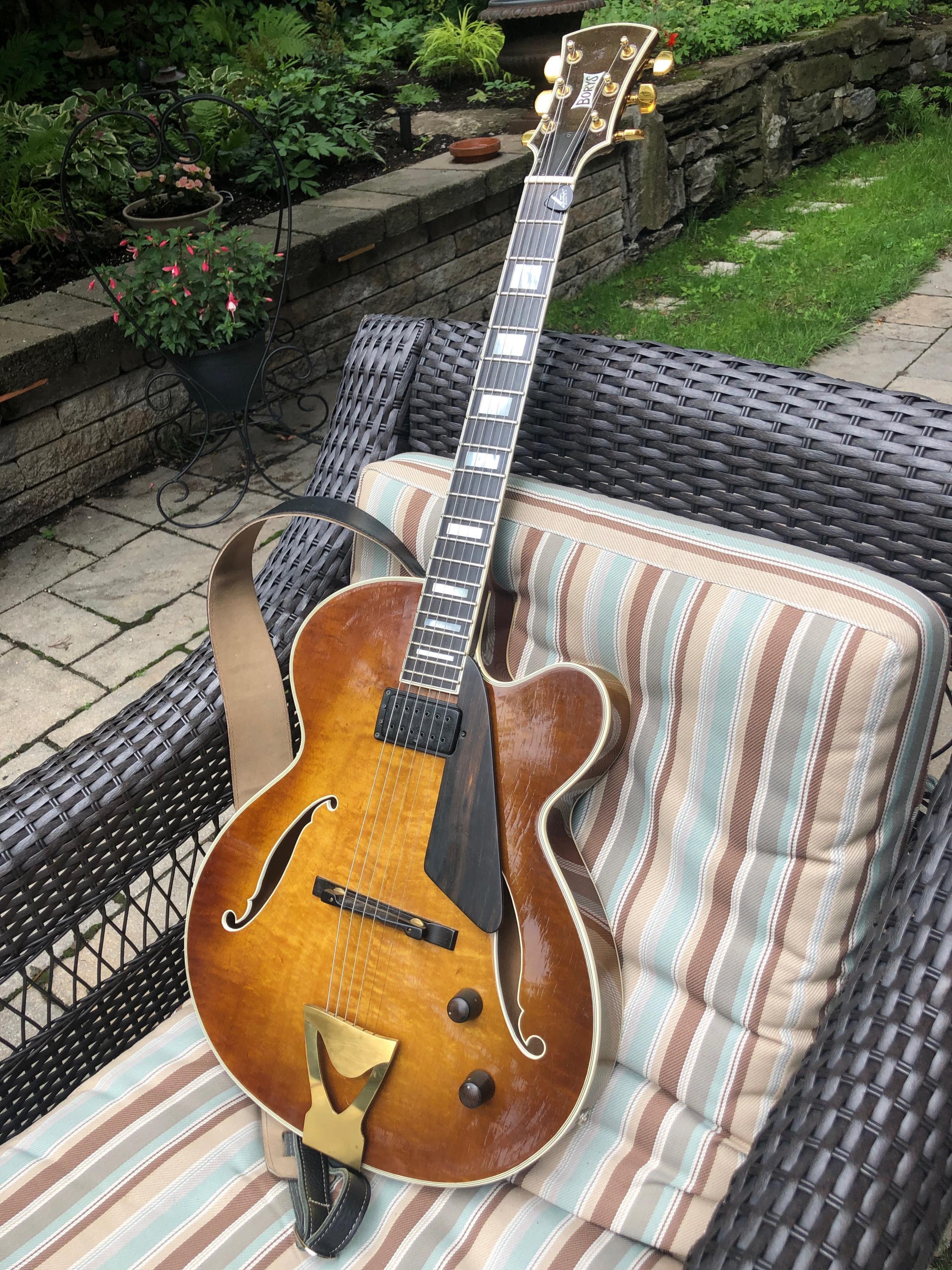 Borys Guitars-bors-bg-100-jpg