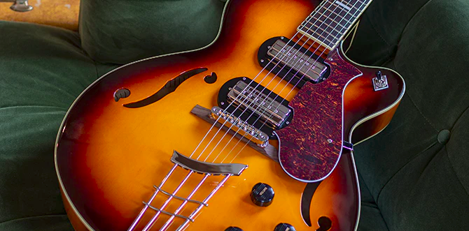 Hofner New President-untitled-png